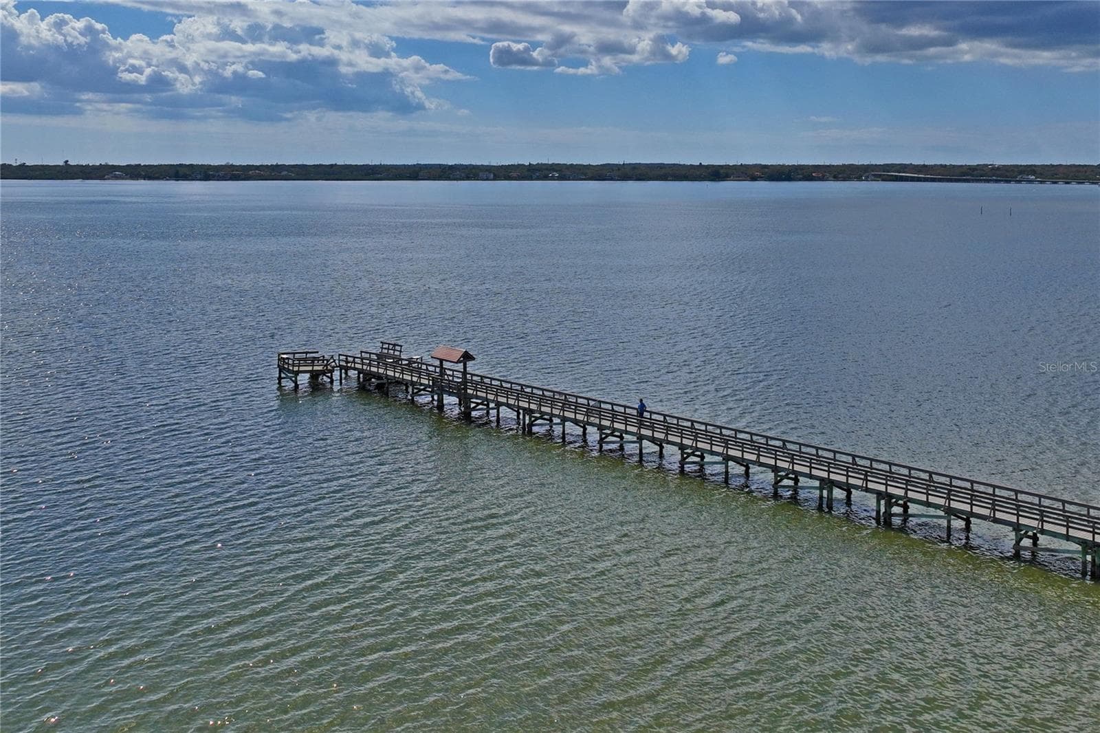 Single Family Residence at 402 SHORE DR W, OLDSMAR, photo 57 of 62