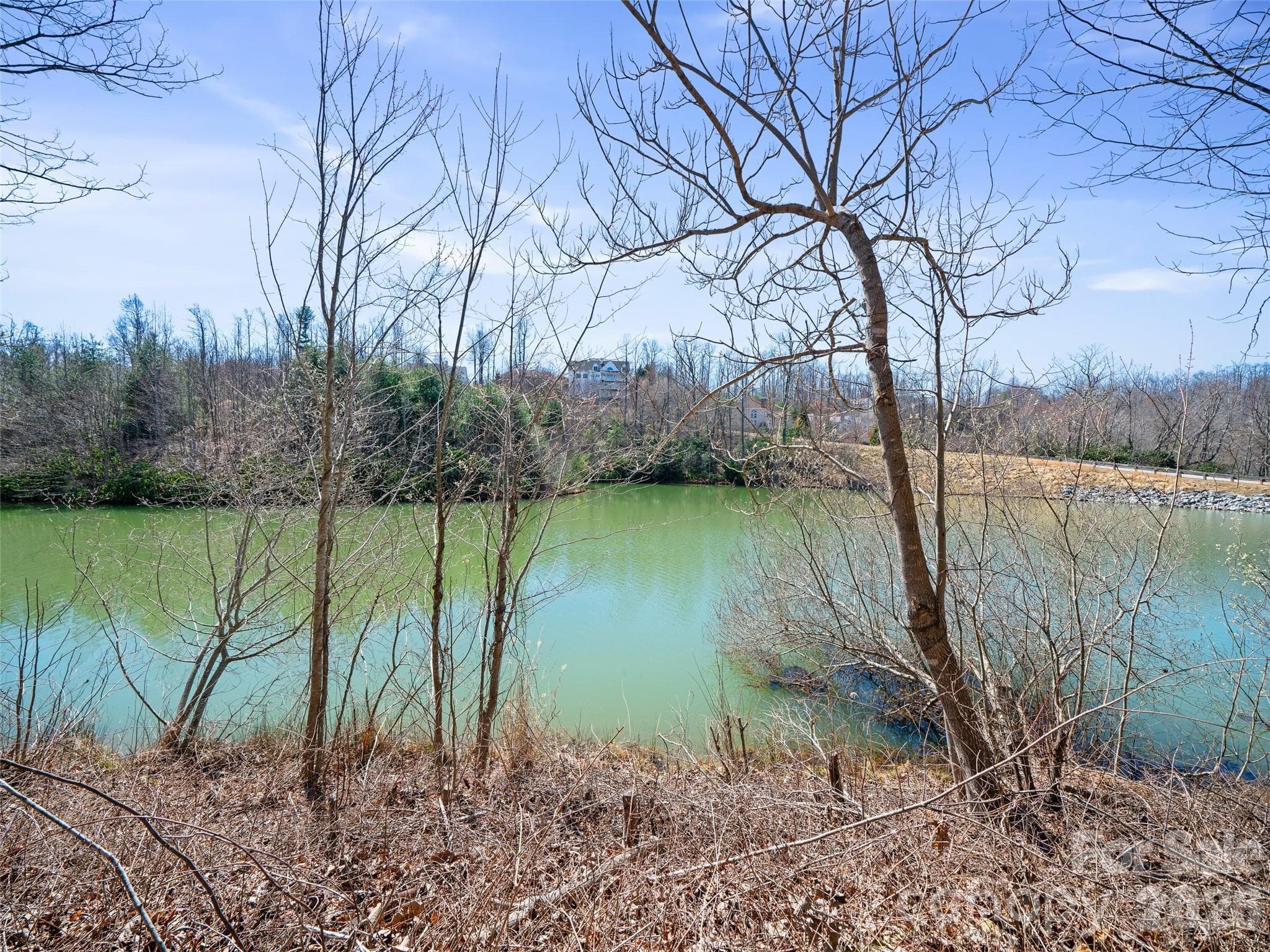 Lot at Hendersonville, photo 3 of 26