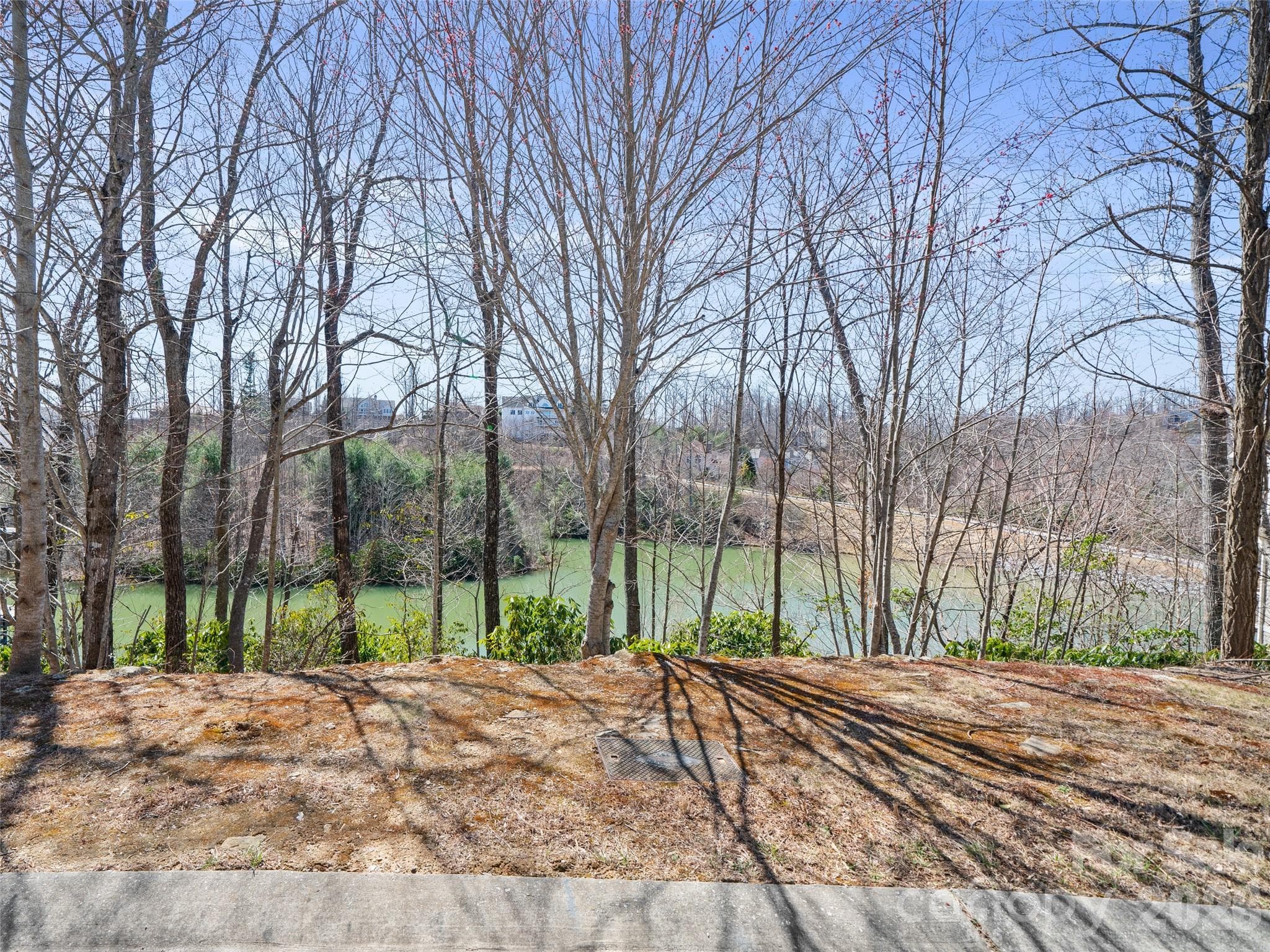 Lot at Hendersonville, photo 4 of 26