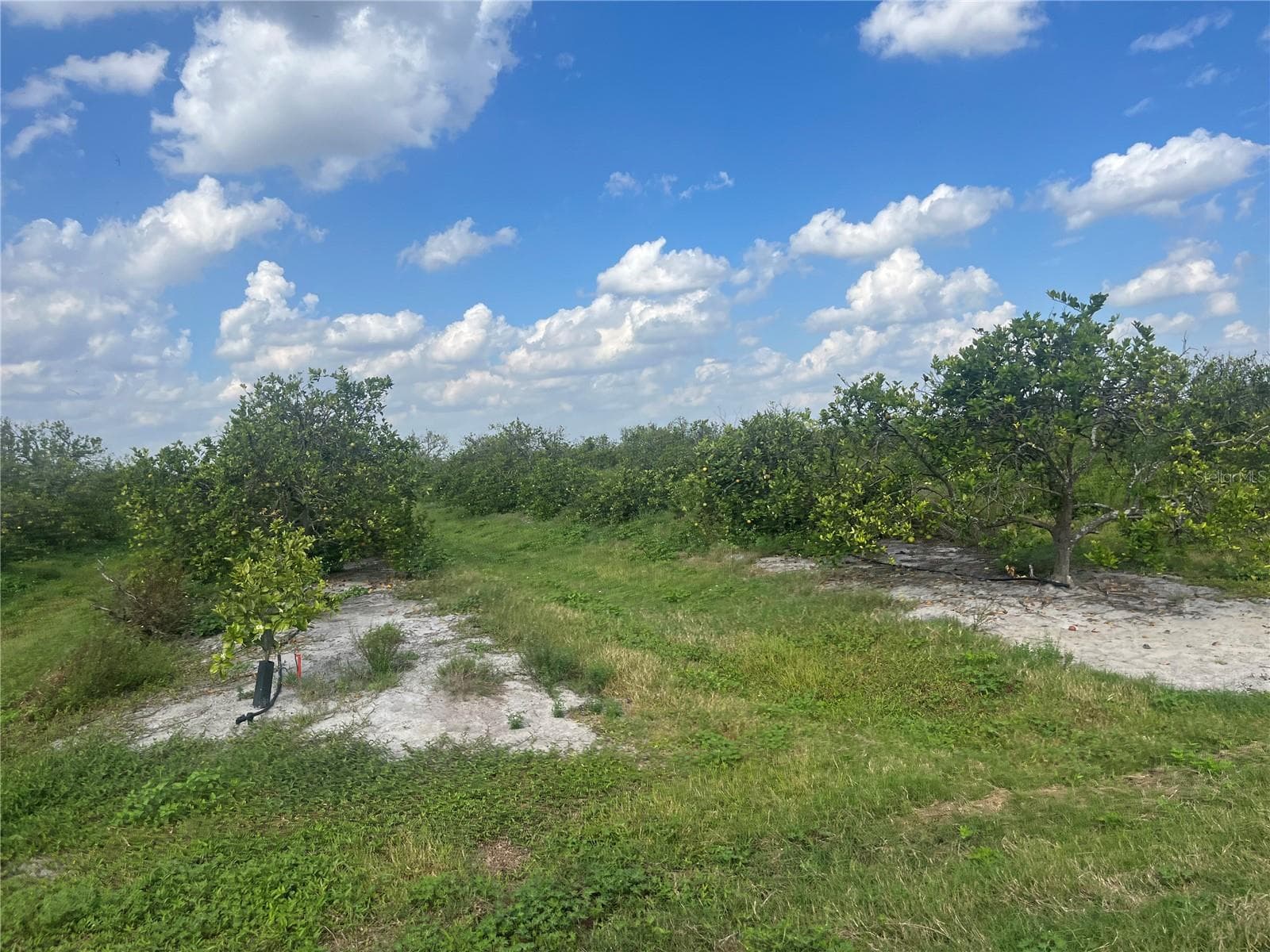 Land at NE HWY 70, ARCADIA, photo 3 of 3