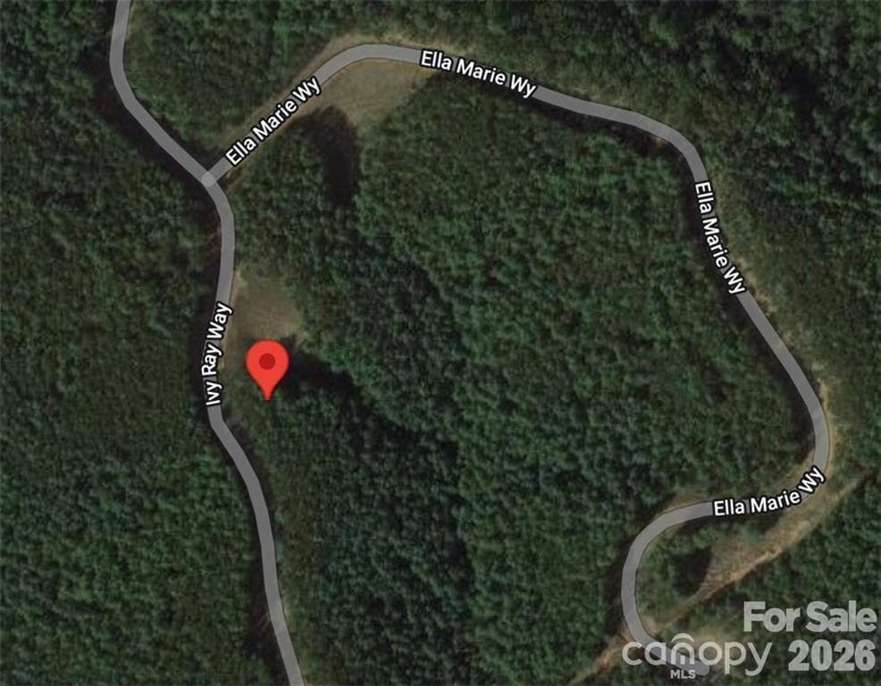 Lot at Nebo, photo 2 of 7