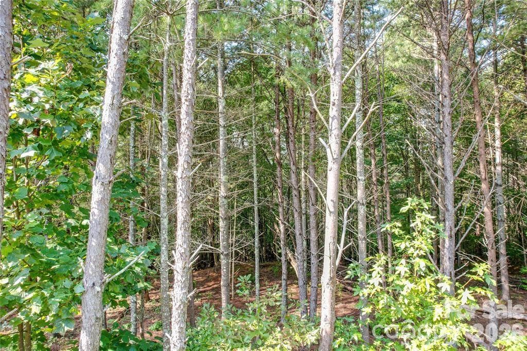 Lot at Nebo, photo 3 of 7
