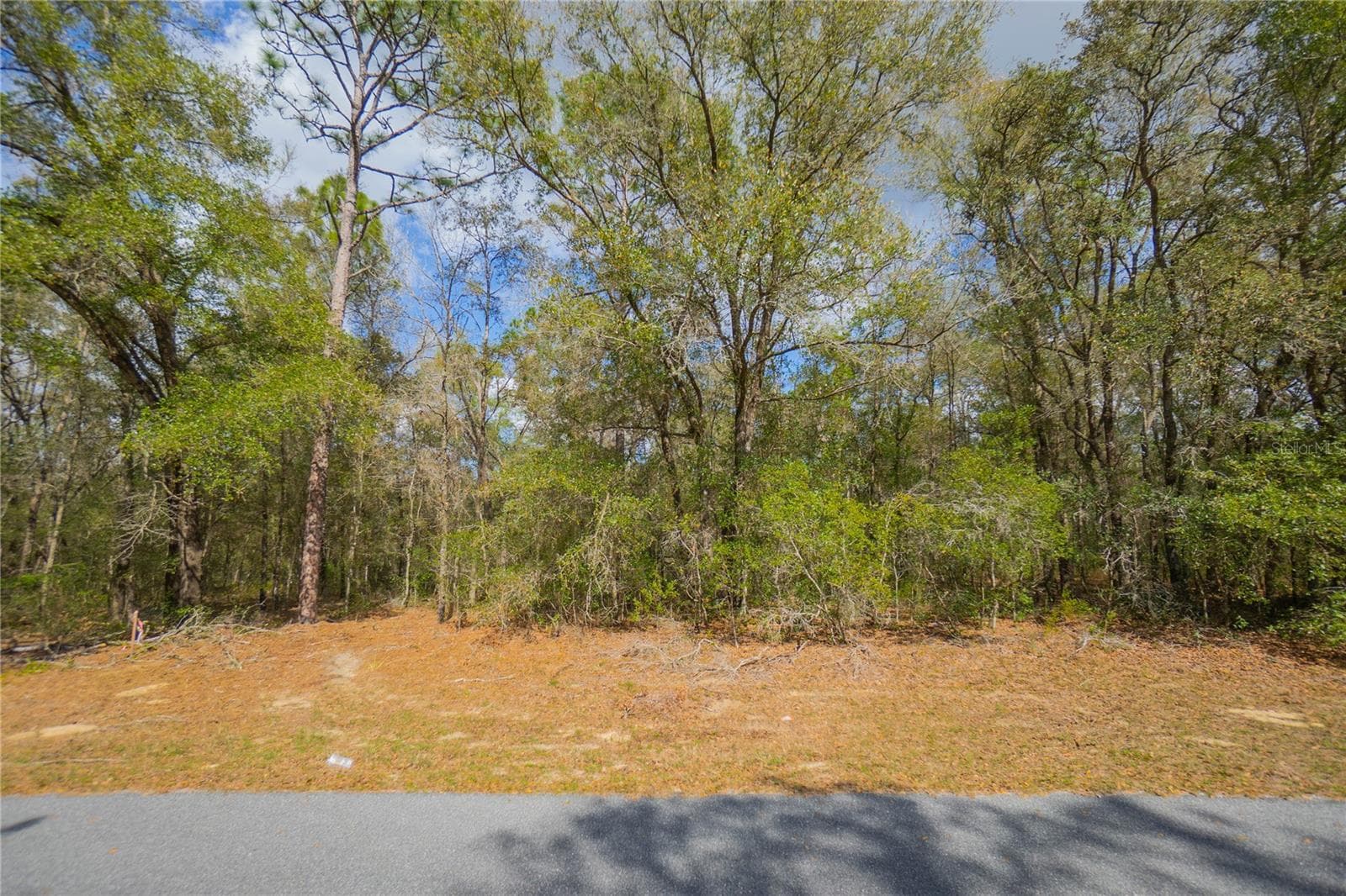 8743 N SANDREE DR
