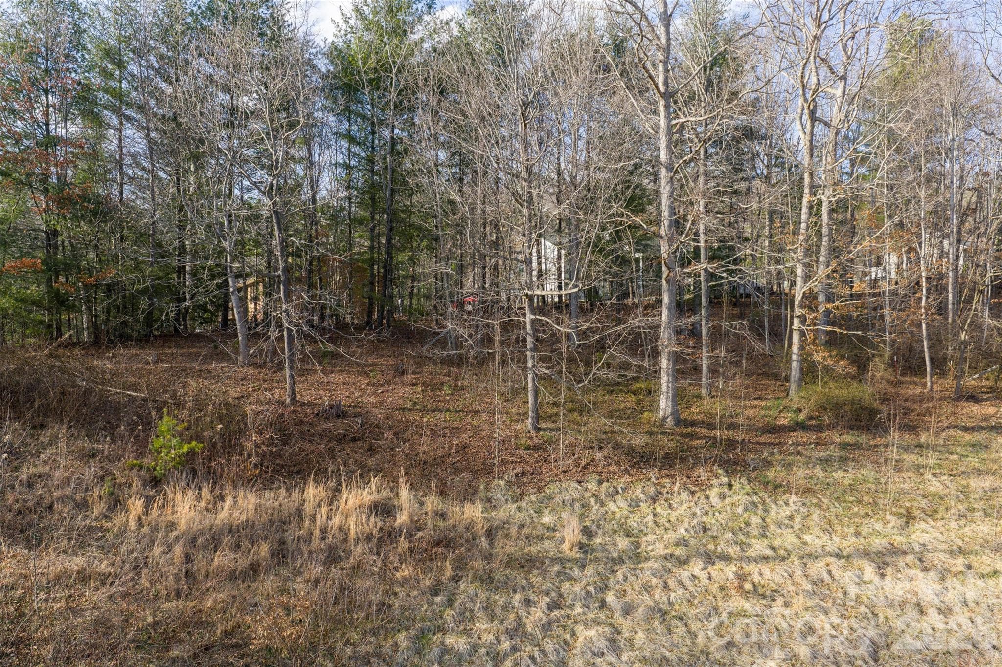 Acreage at Waynesville, photo 6 of 9