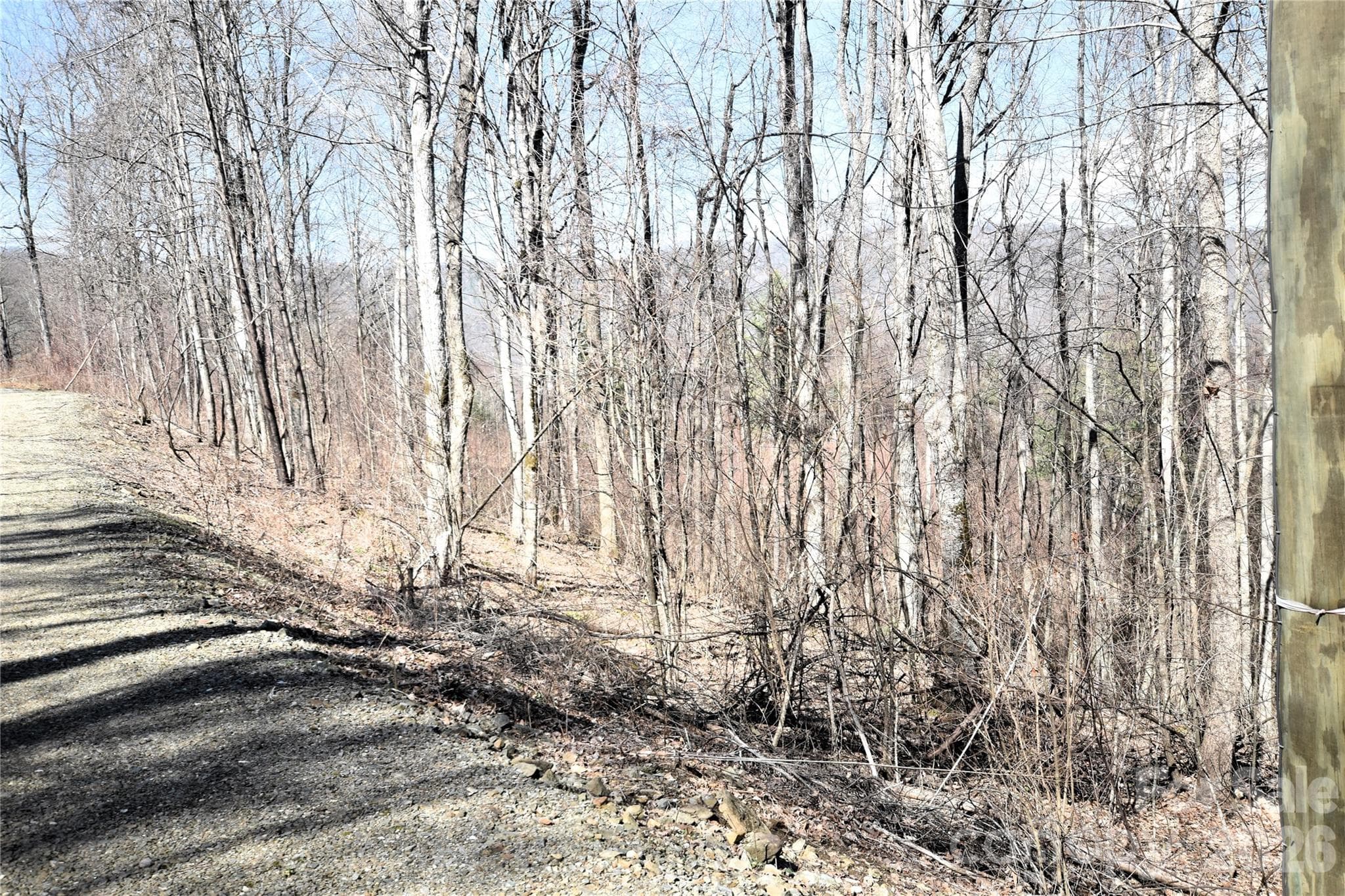 The lot as seen from the Eastern boundary behind the electric pole. - Waynesville