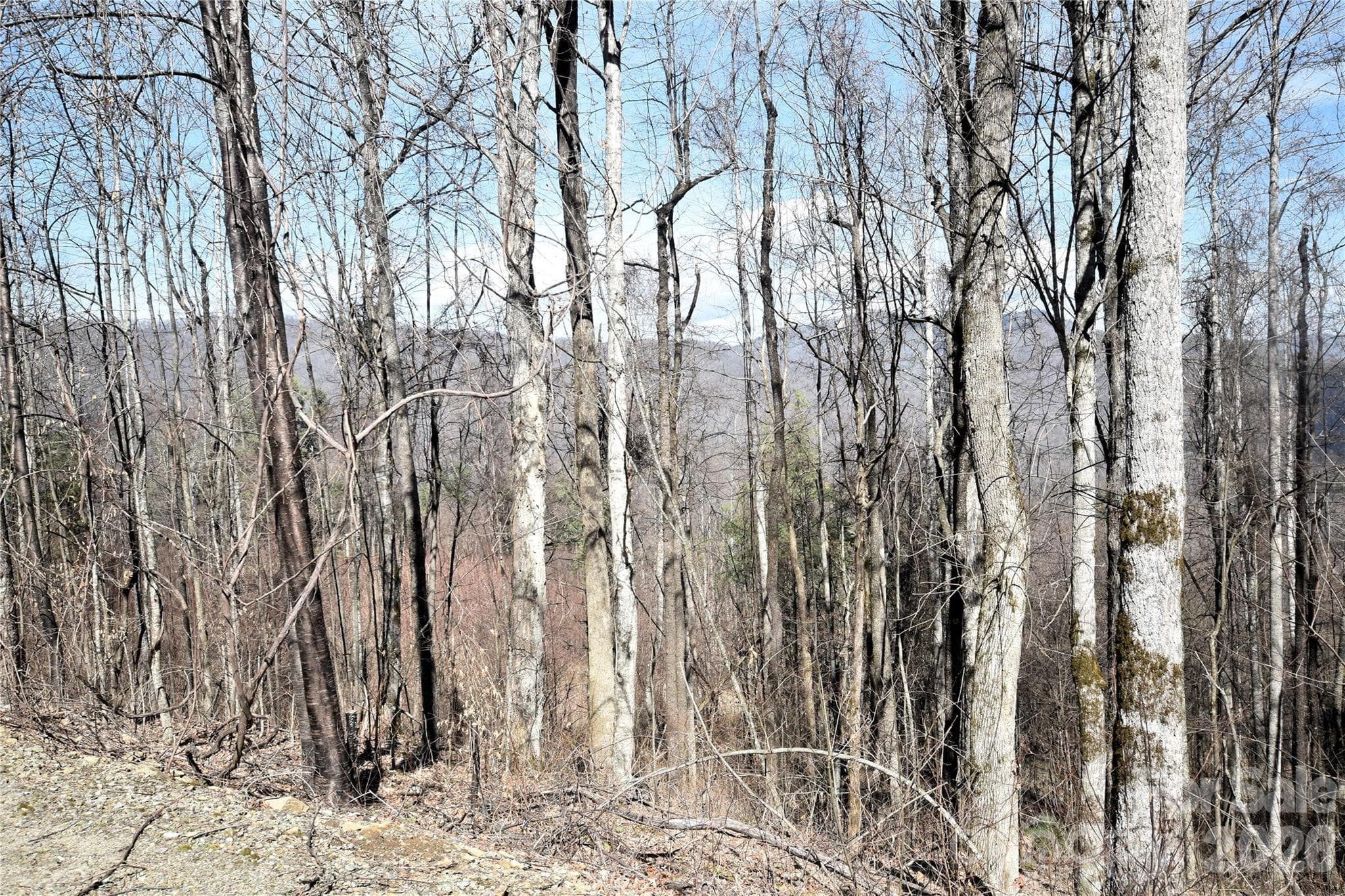 Roughly the middle of the lot from Curry Comb Trail - Waynesville