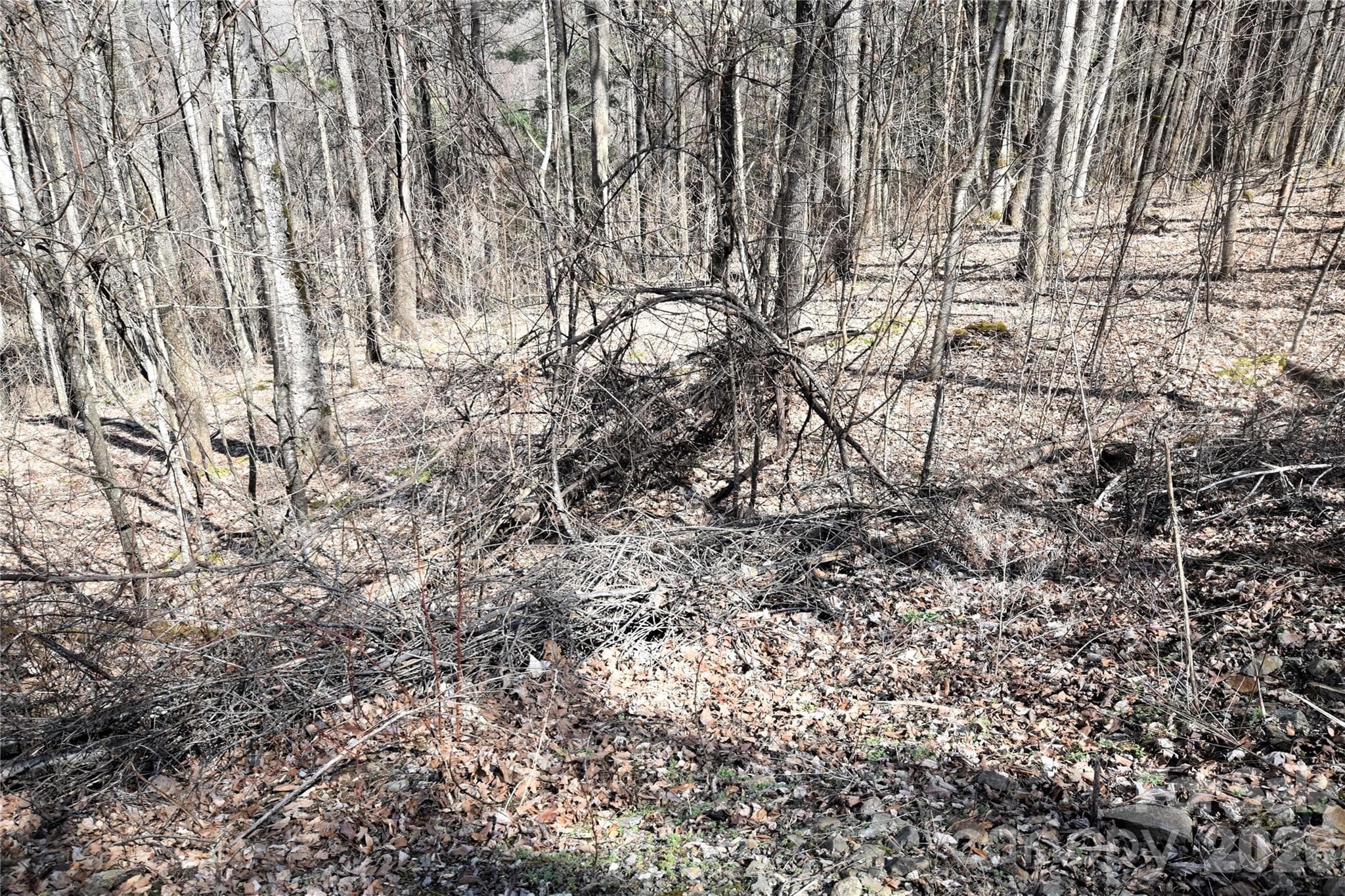 A more level section of the lot on the Eastern side of the lot. - Waynesville