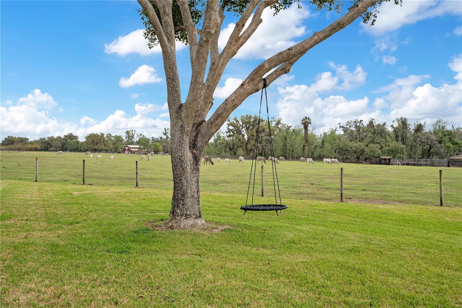 Swing in backyard - 1401 BUELL CT, PLANT CITY