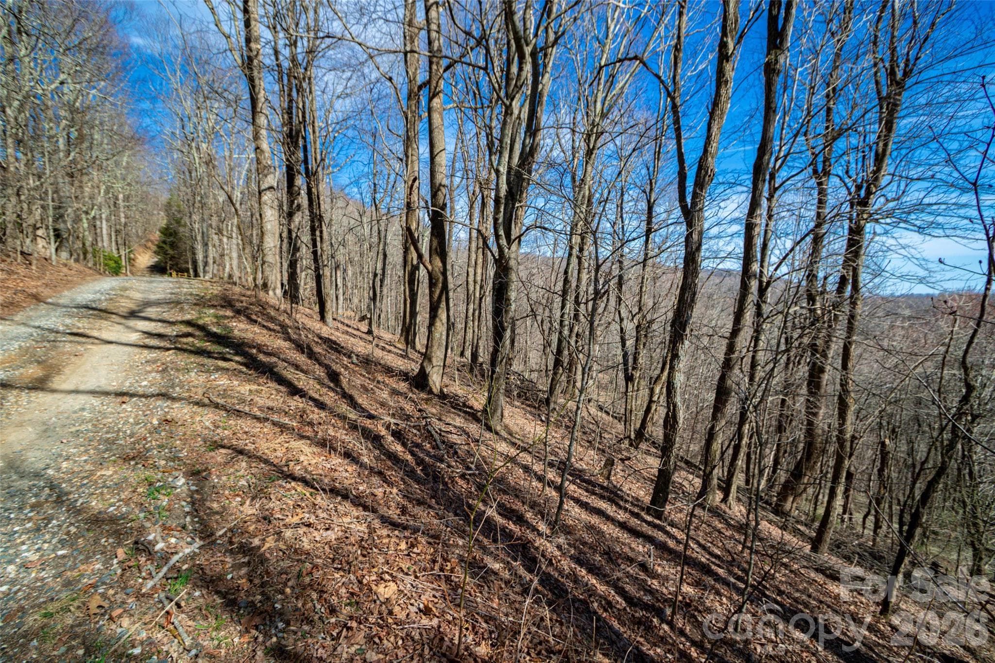 Lot at Lot 32 Strawberry Ridge Road, Little Switzerland, photo 4 of 16