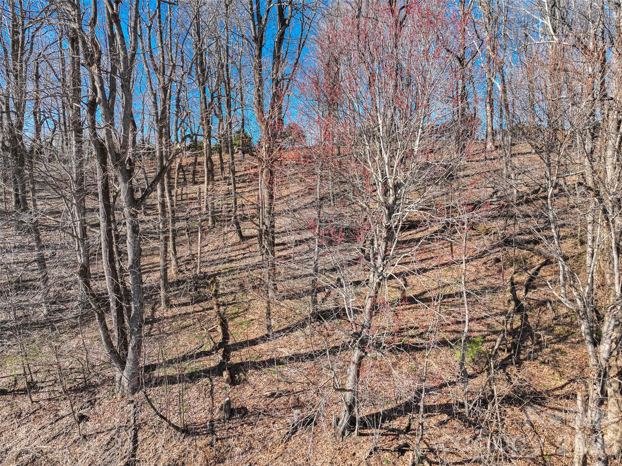 Lot at Lot 32 Strawberry Ridge Road, Little Switzerland, photo 9 of 16