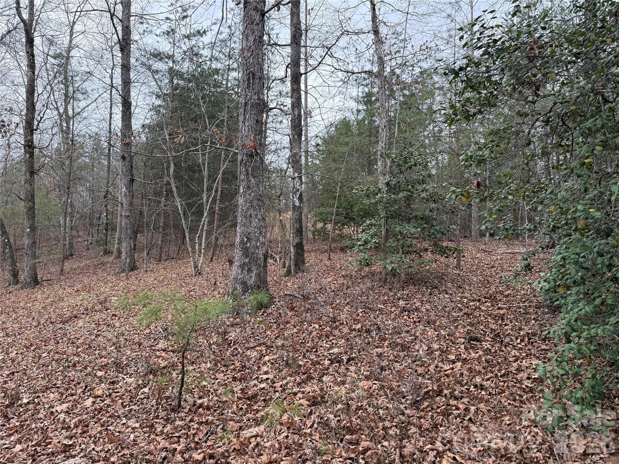 Lot at Rutherfordton, photo 2 of 33