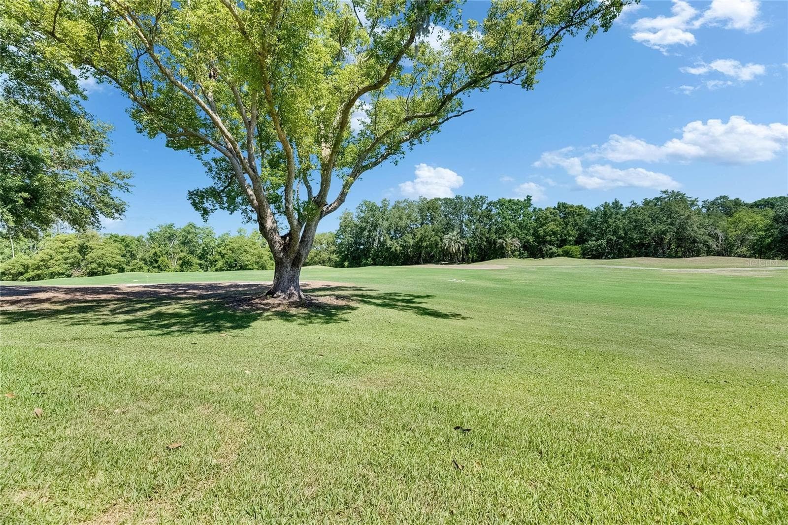 Single Family Residence at 29903 BAYWOOD LN, WESLEY CHAPEL, photo 57 of 57