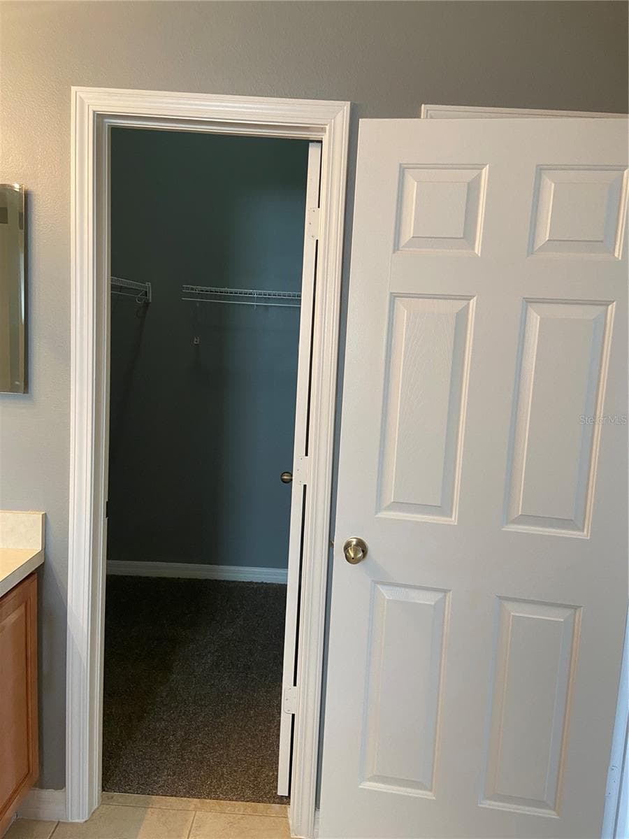 Townhouse at 27546 PLEASURE RIDE LOOP, WESLEY CHAPEL, photo 24 of 31