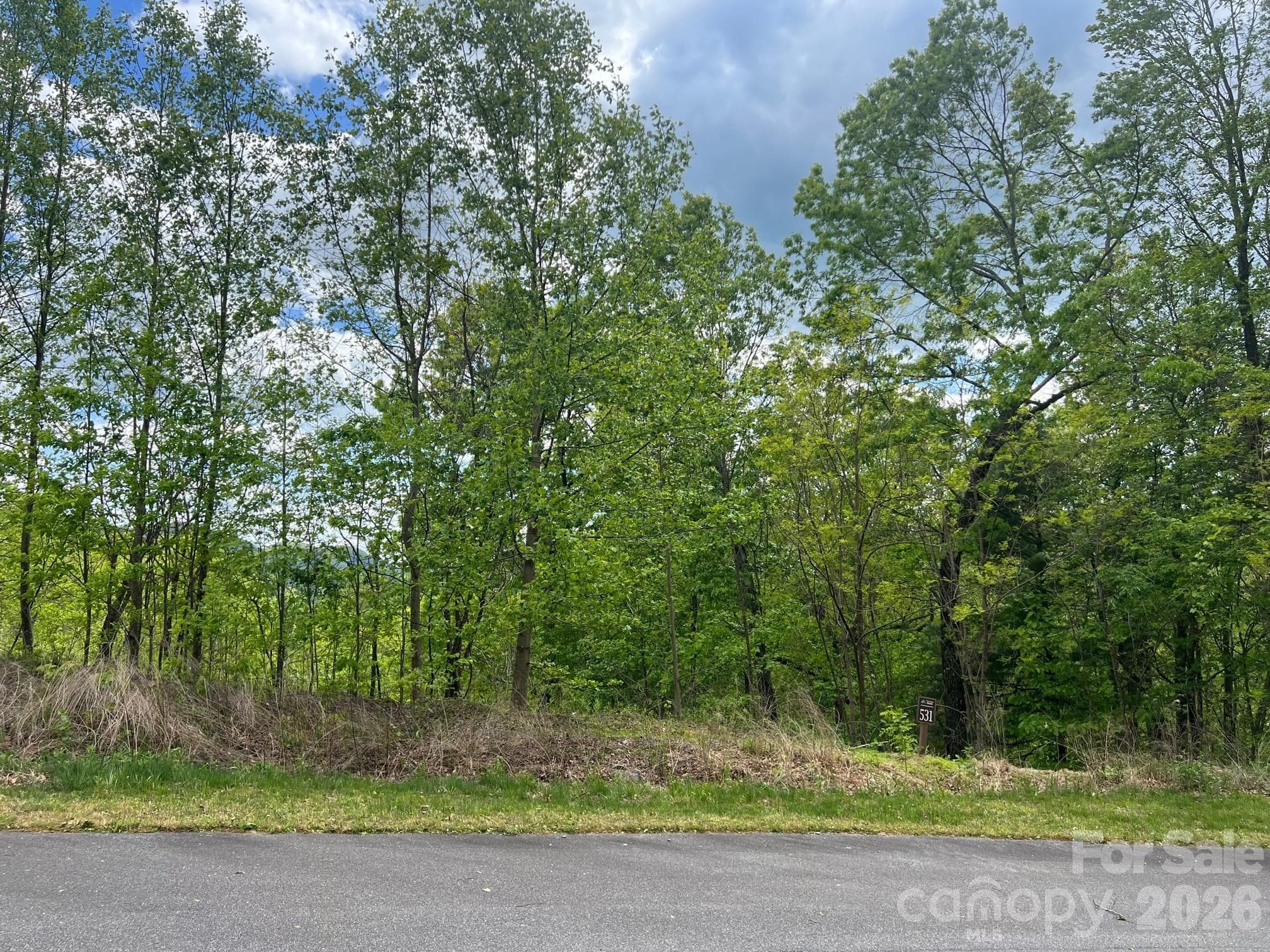 Lot at Lenoir, photo 8 of 9