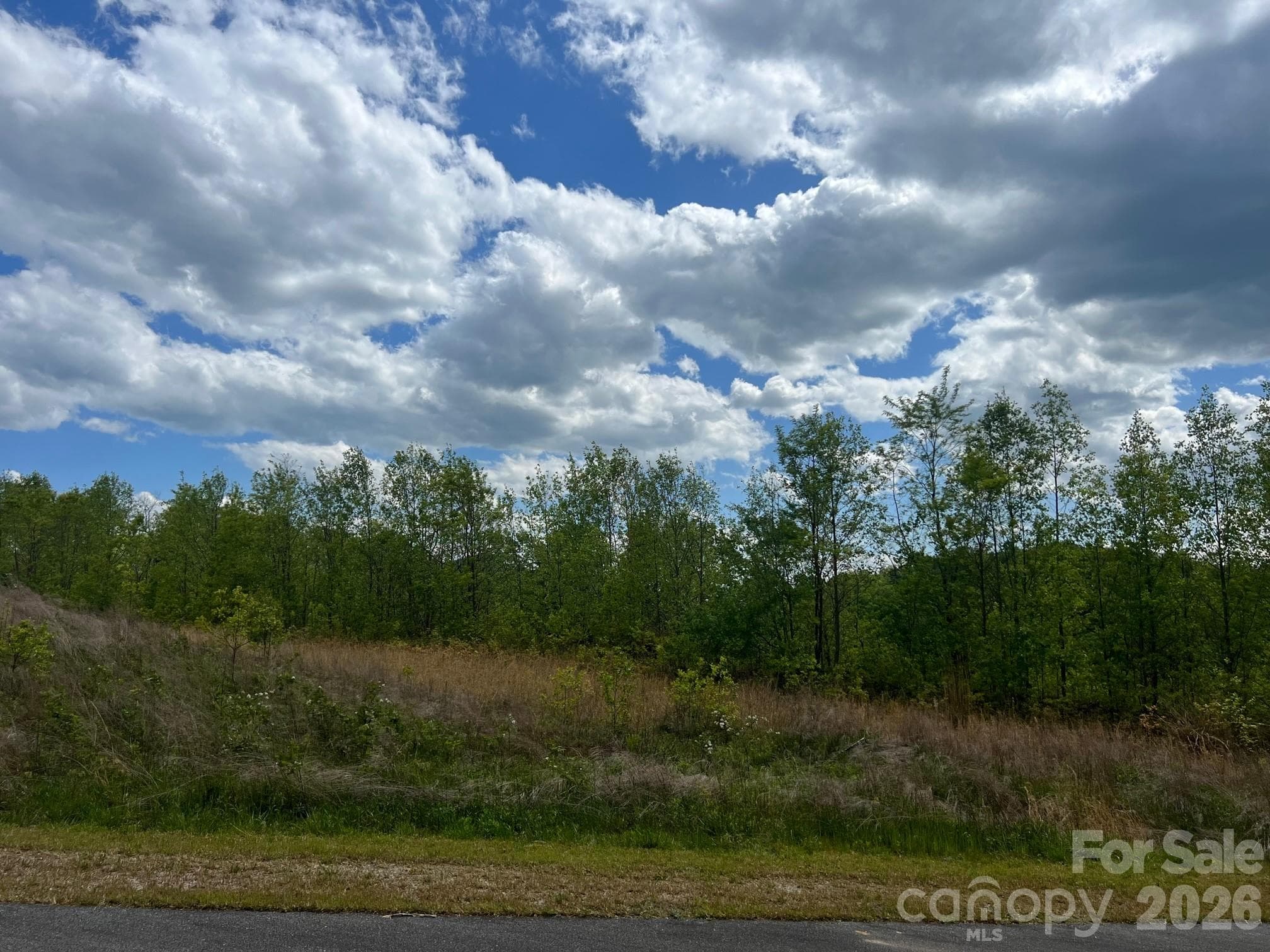 Lot at Lenoir, photo 9 of 9