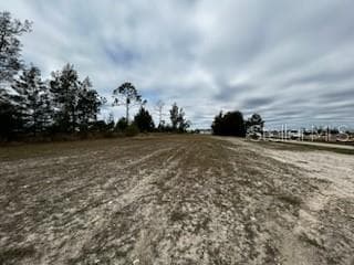 Land at 1826 NE 37TH ST, CAPE CORAL, photo 2 of 5