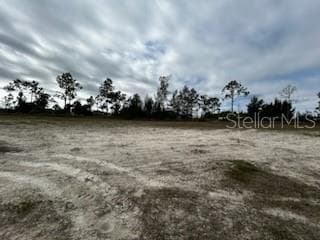 Land at 1826 NE 37TH ST, CAPE CORAL, photo 3 of 5