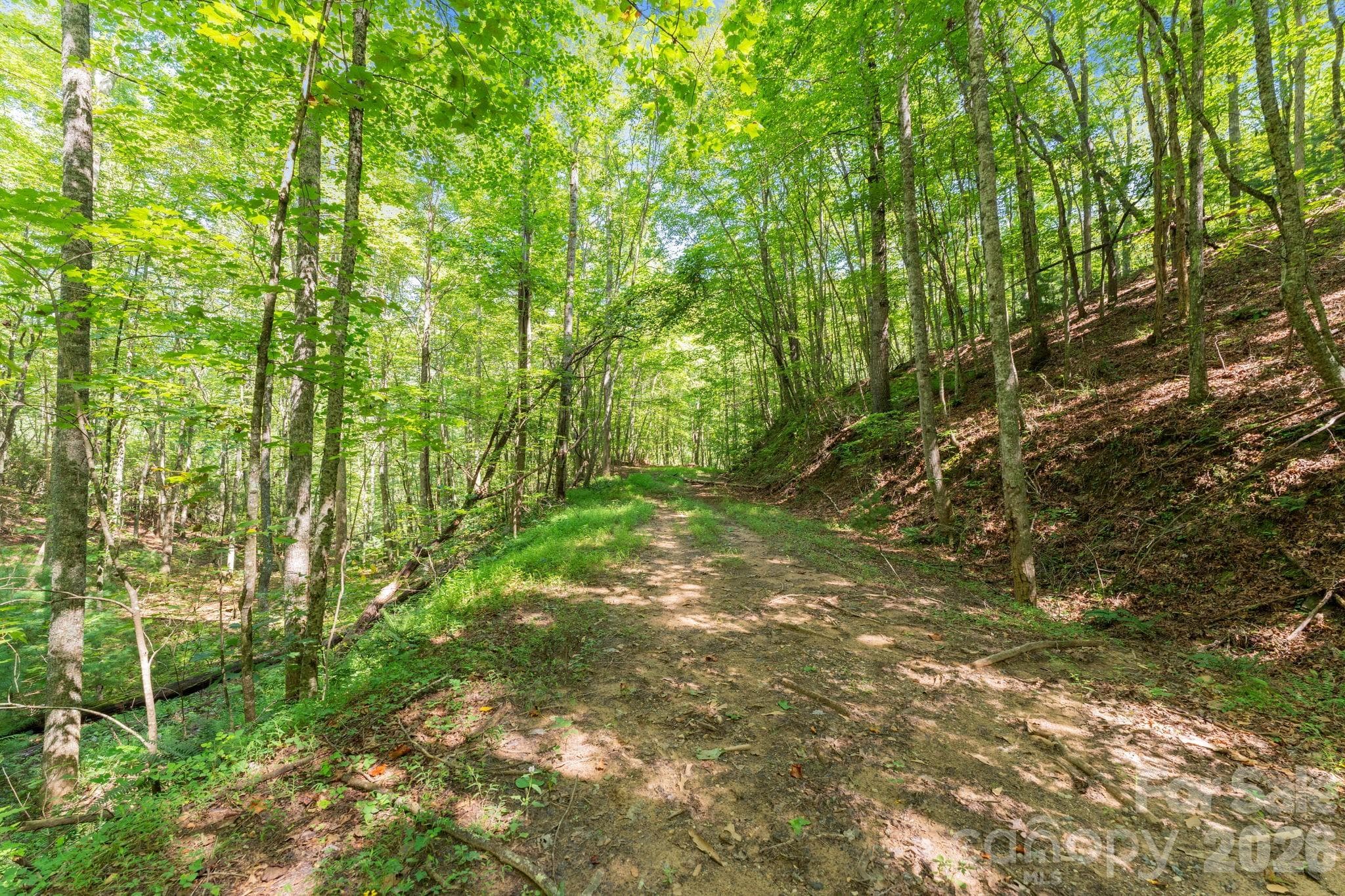 Acreage at 80 Breezewood Drive, Bryson City, photo 4 of 37