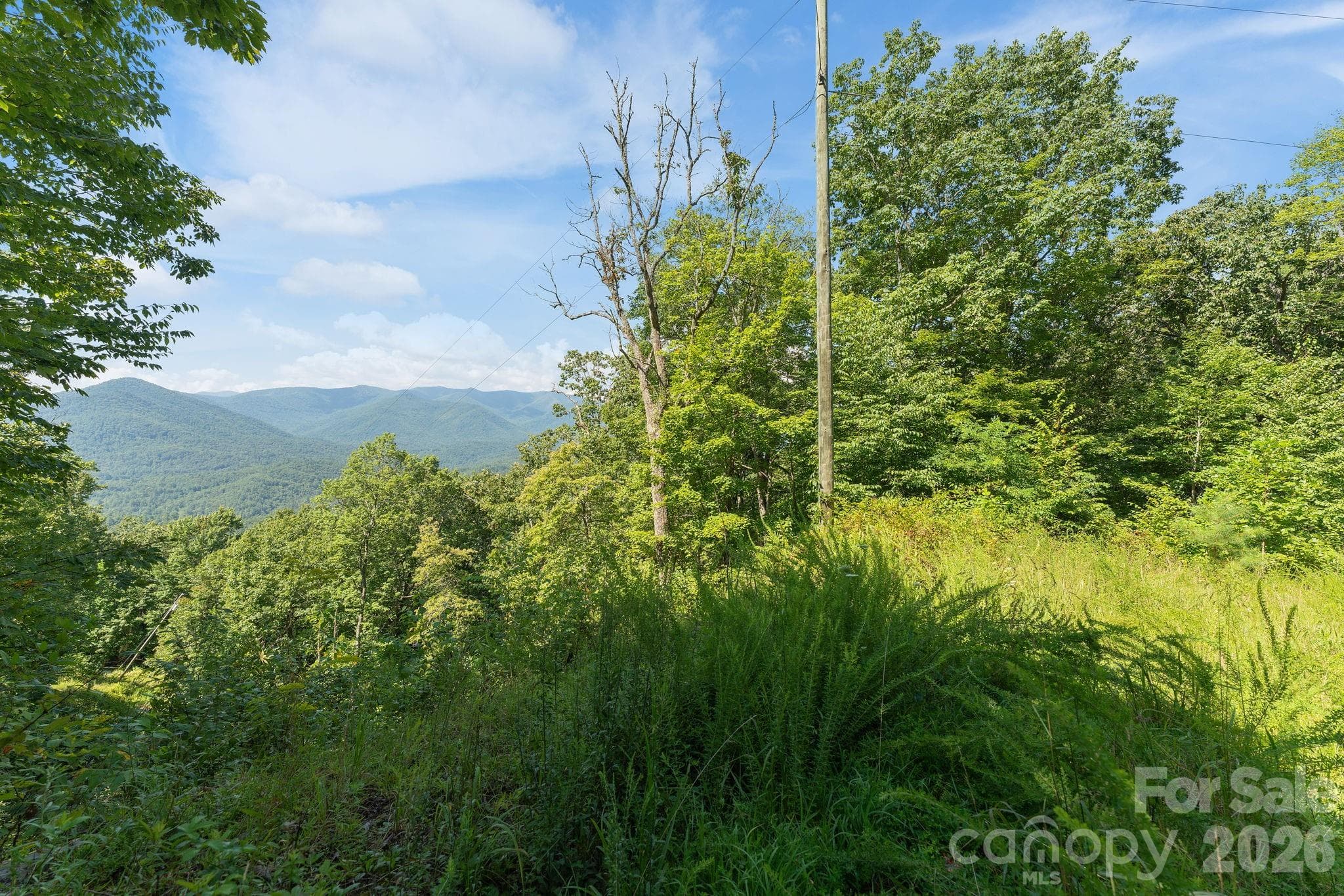 Acreage at 80 Breezewood Drive, Bryson City, photo 2 of 37