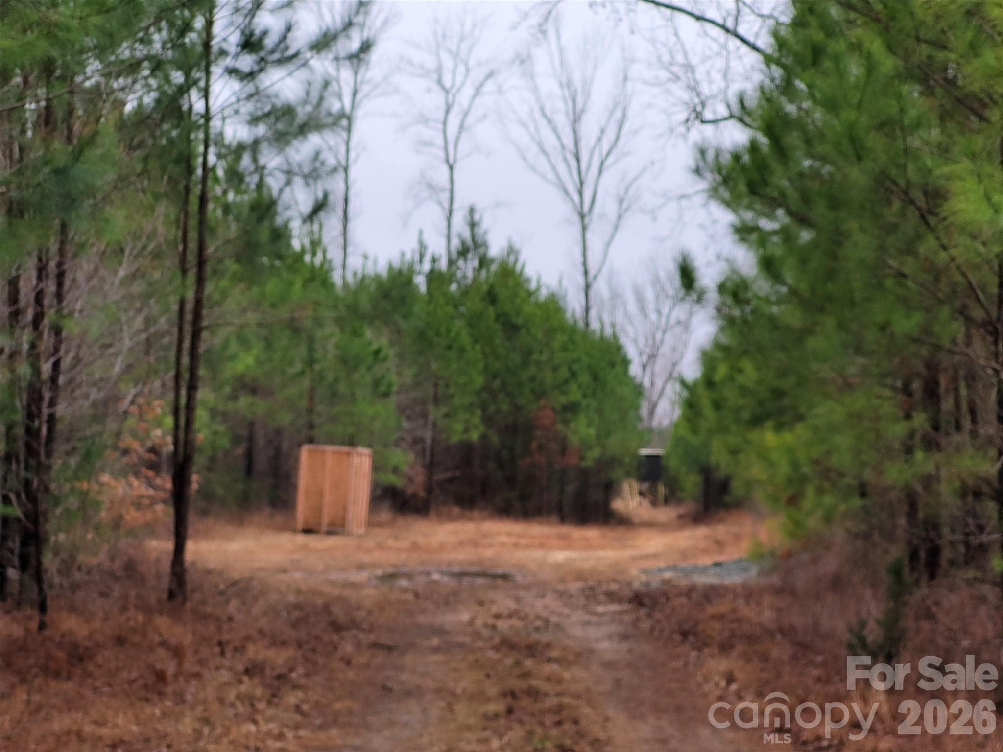 Acreage at Mebane, photo 5 of 12