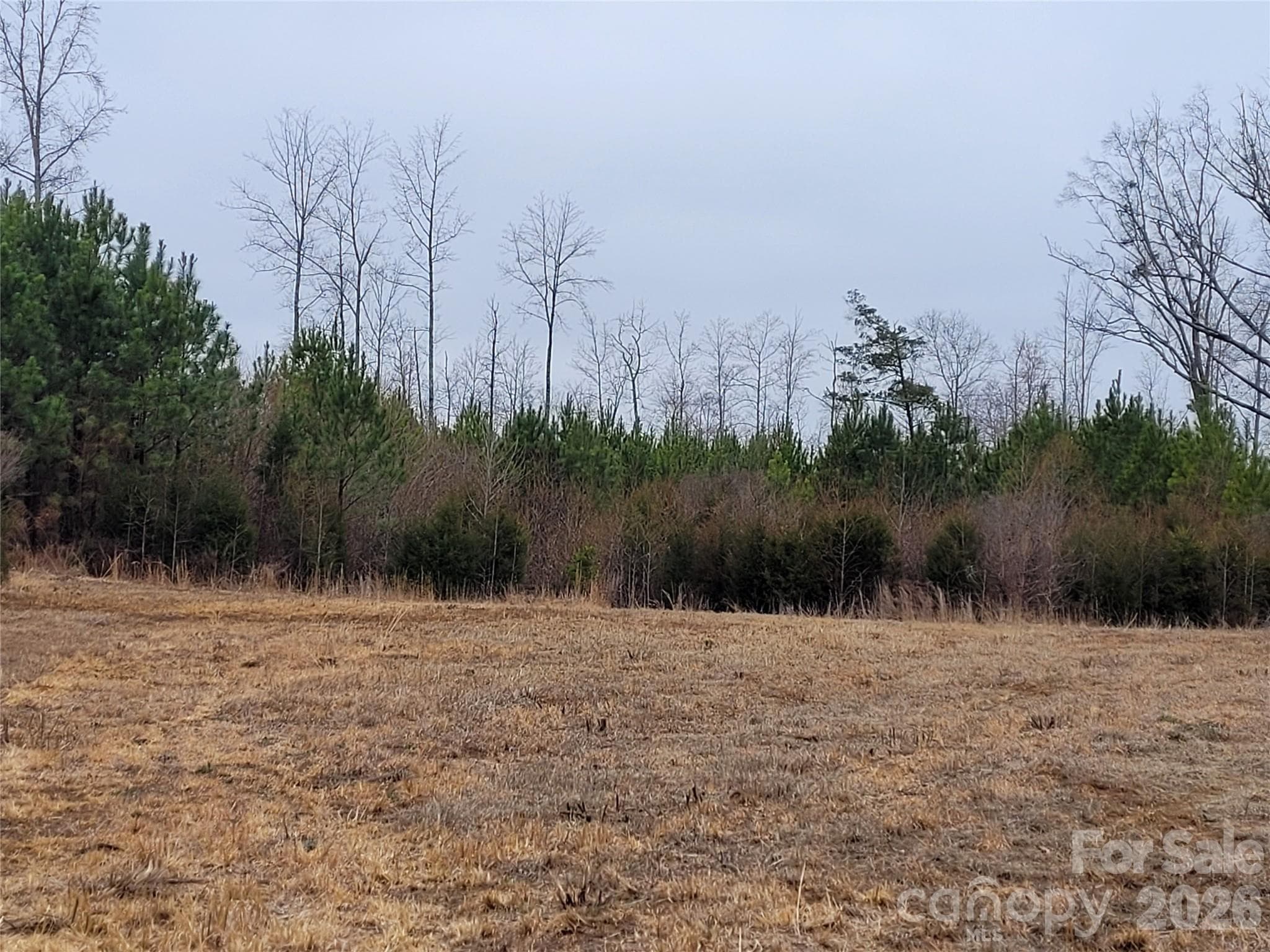 Acreage at Mebane, photo 6 of 12