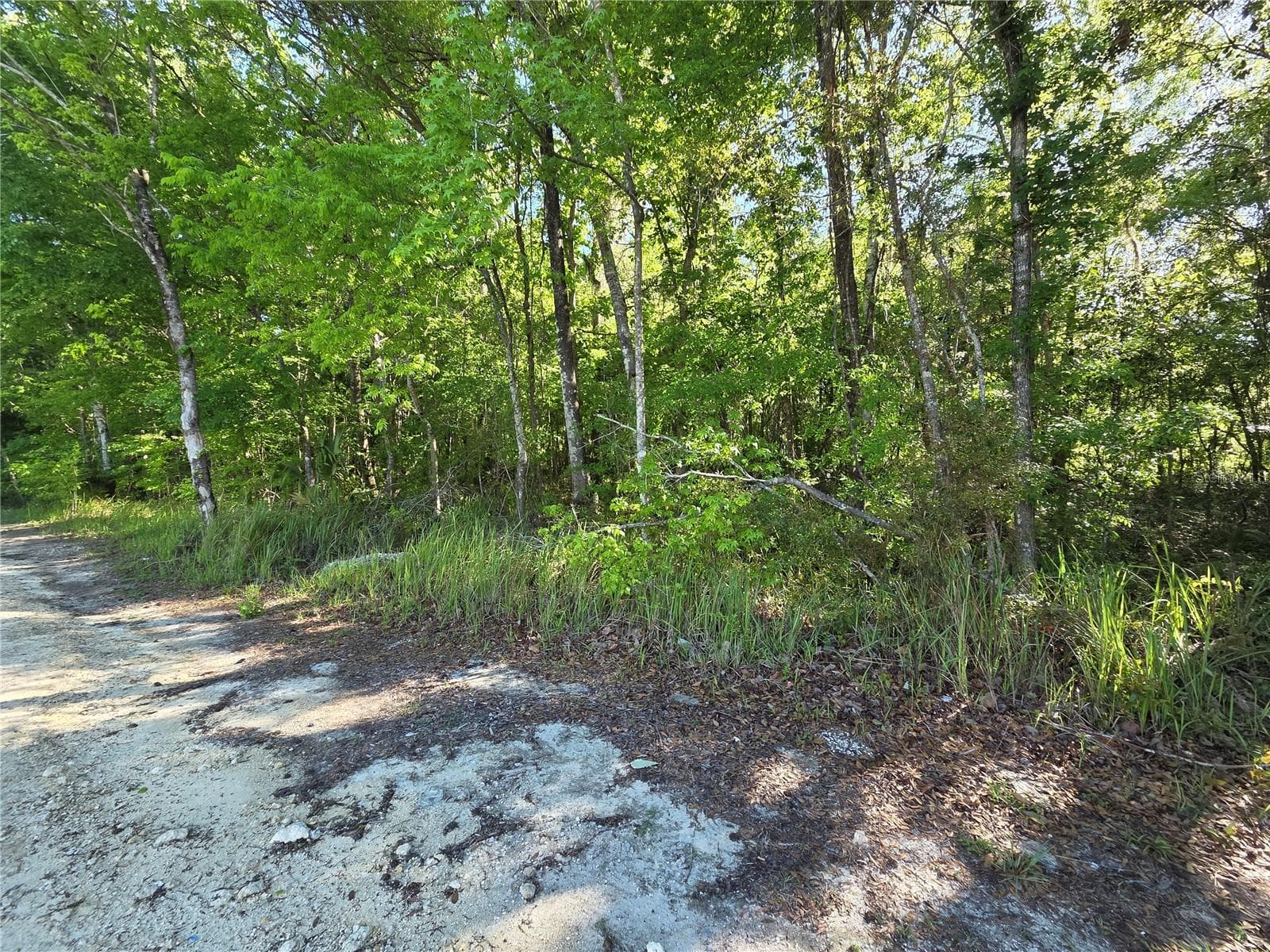 Build to Suit - 0000 SE 42ND CT, BELLEVIEW