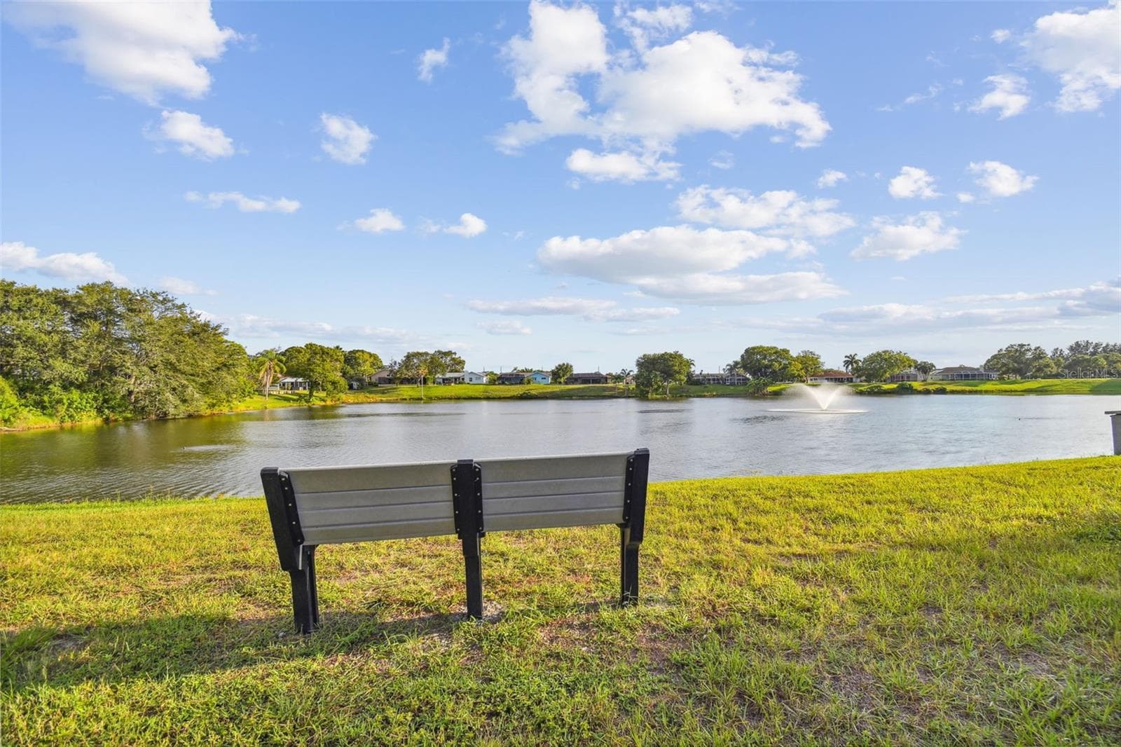 Single Family Residence at 1039 NORTHRIDGE DR, PALM HARBOR, photo 59 of 64