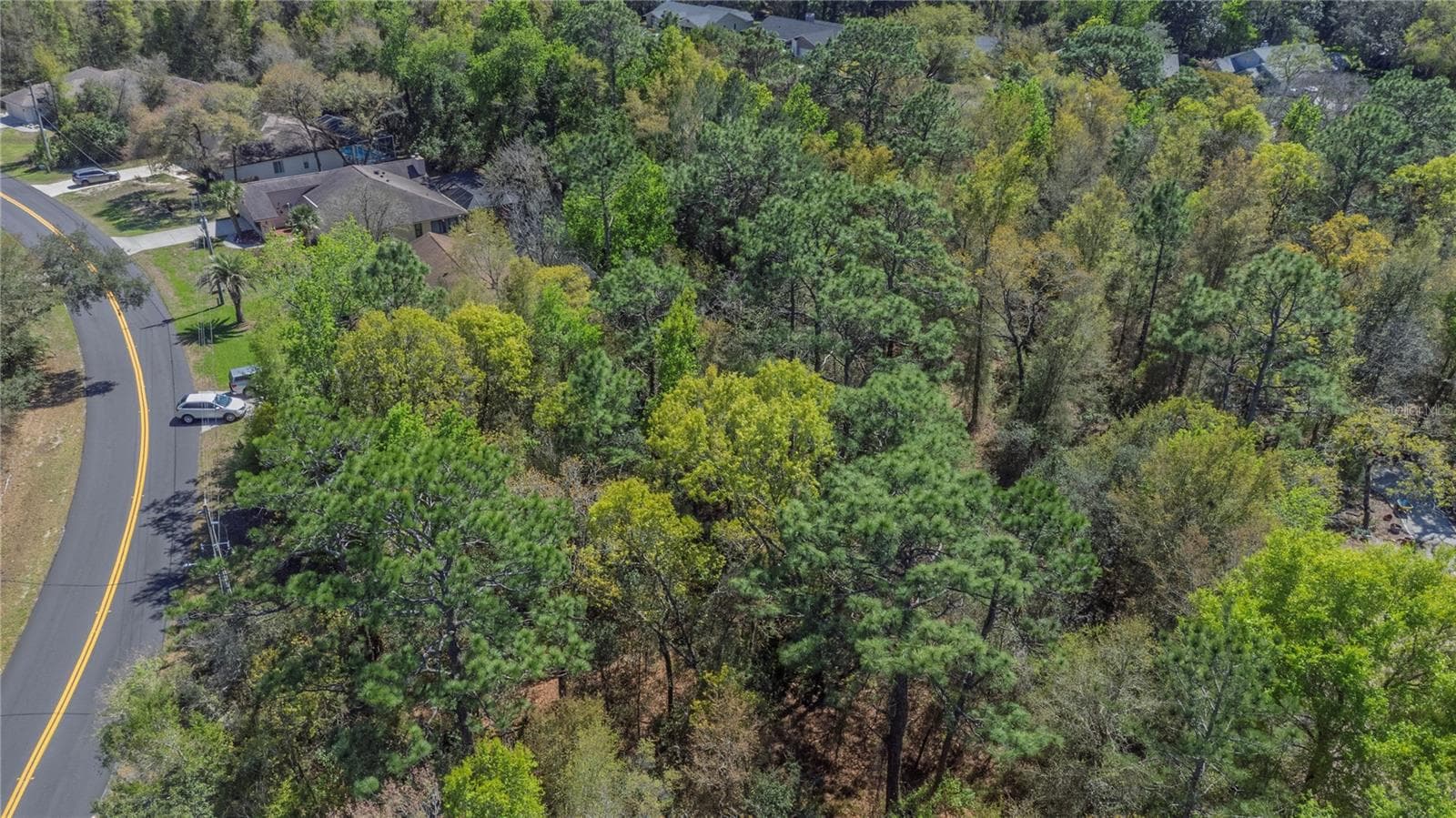 Buyer to verify lot lines and easements. - 1 PINE ST, HOMOSASSA