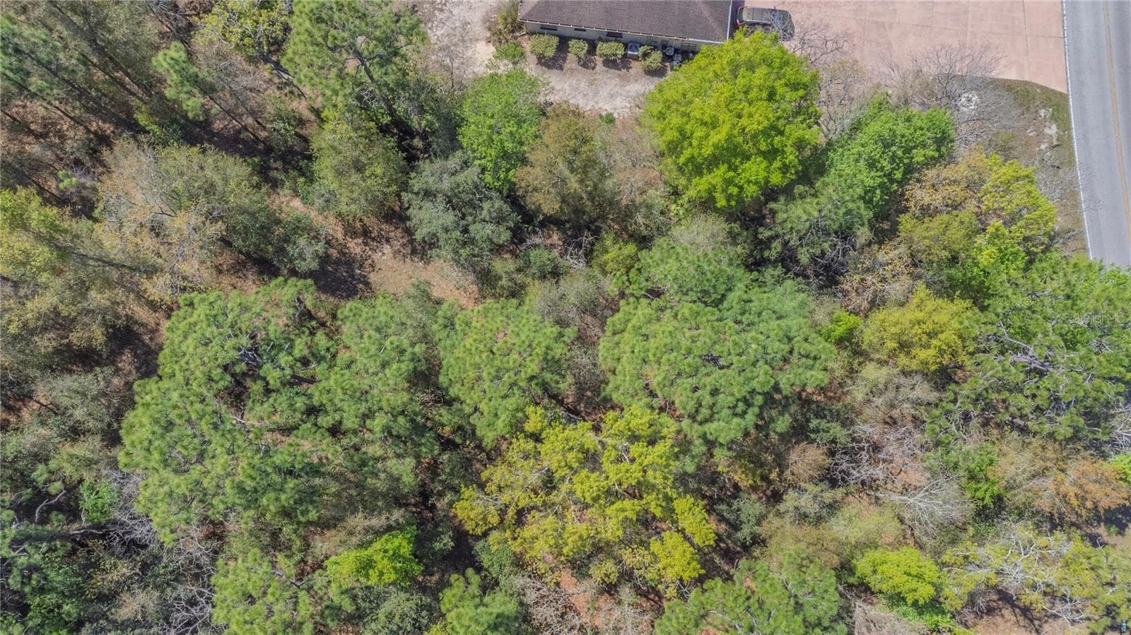 Aerial Photography - 1 PINE ST, HOMOSASSA
