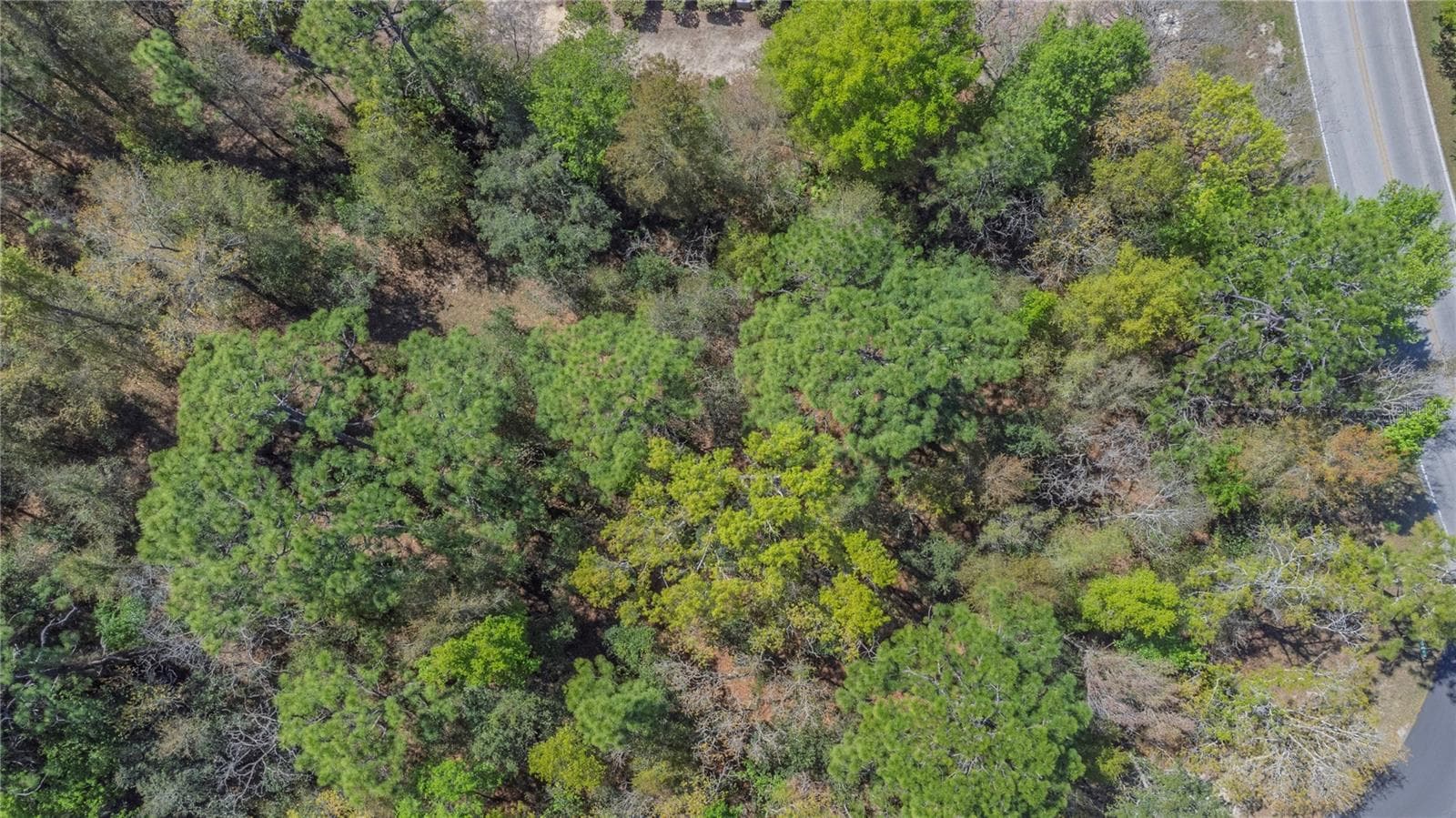 Aerial Photography - 1 PINE ST, HOMOSASSA