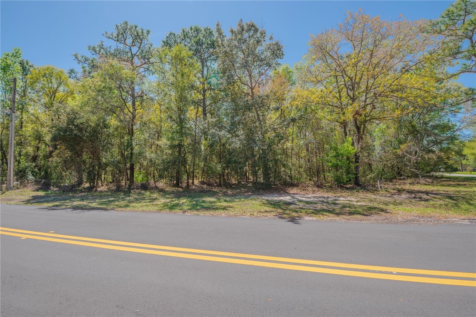 Land at 1 PINE ST, HOMOSASSA, photo 13 of 15