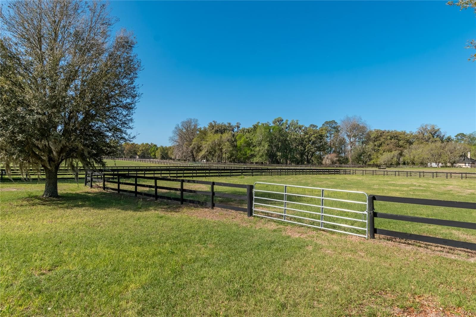 Farm at 8785 NW 63RD ST, OCALA, photo 62 of 91