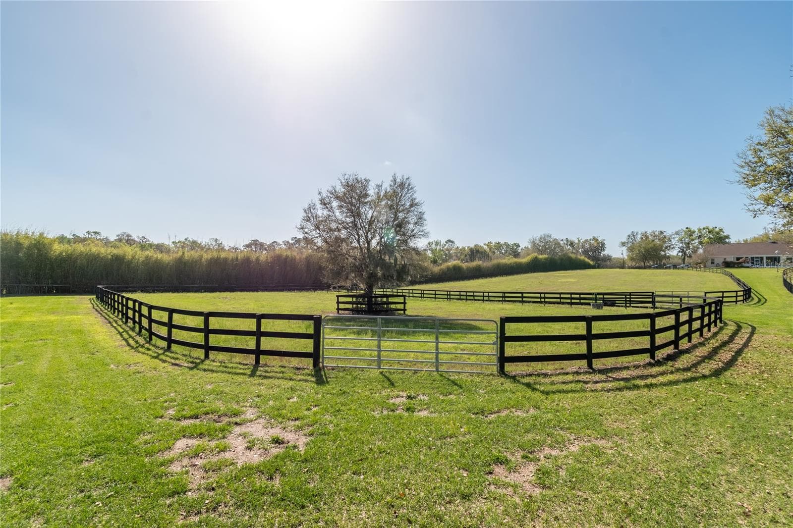Farm at 8785 NW 63RD ST, OCALA, photo 85 of 91
