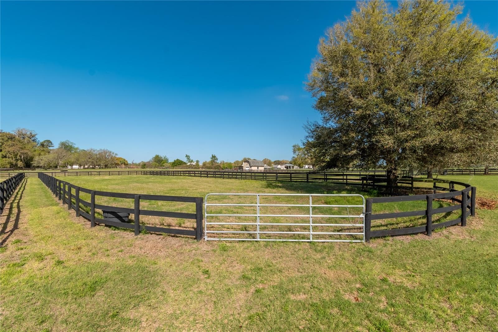 Farm at 8785 NW 63RD ST, OCALA, photo 86 of 91