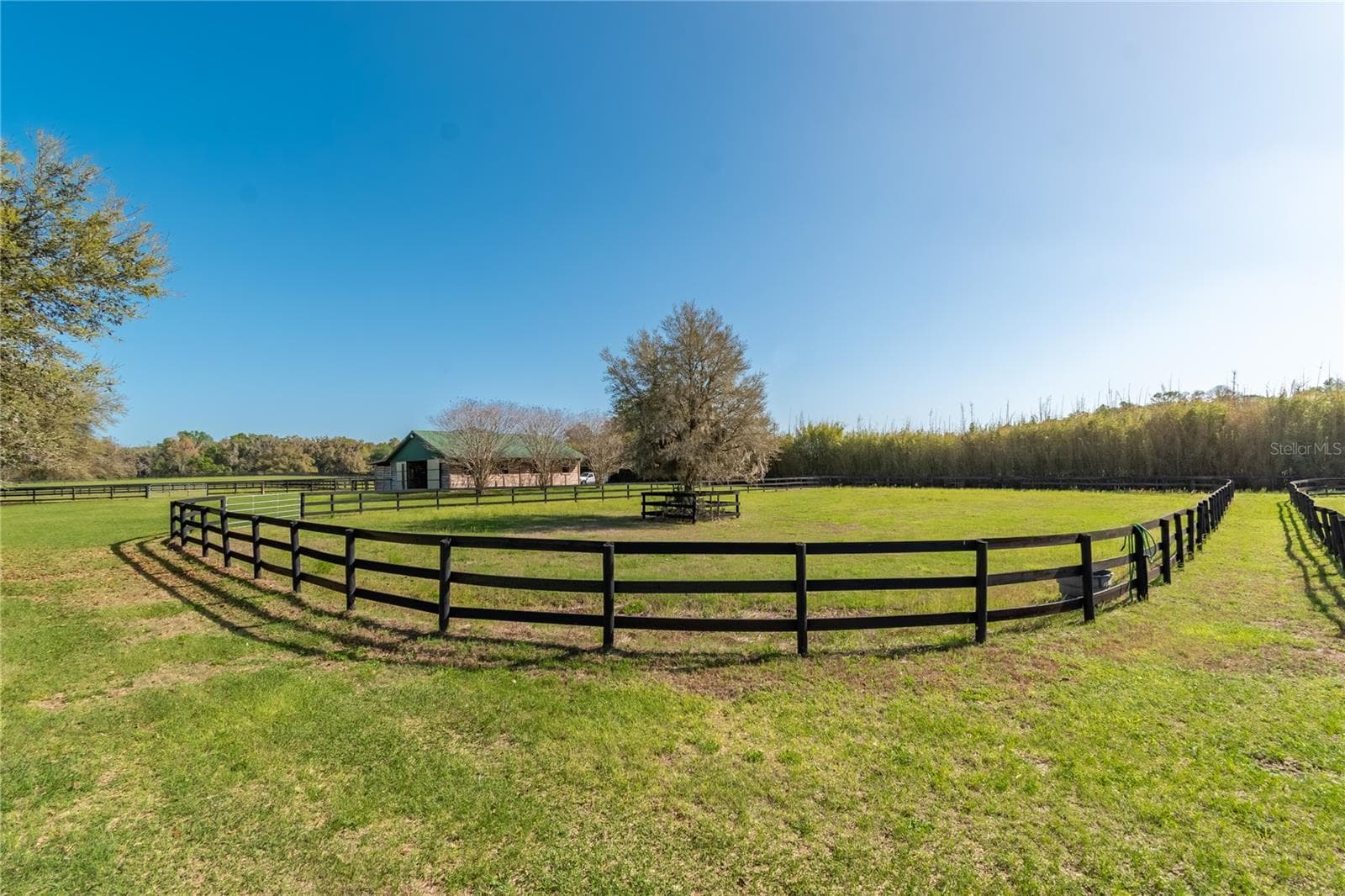 Farm at 8785 NW 63RD ST, OCALA, photo 63 of 91