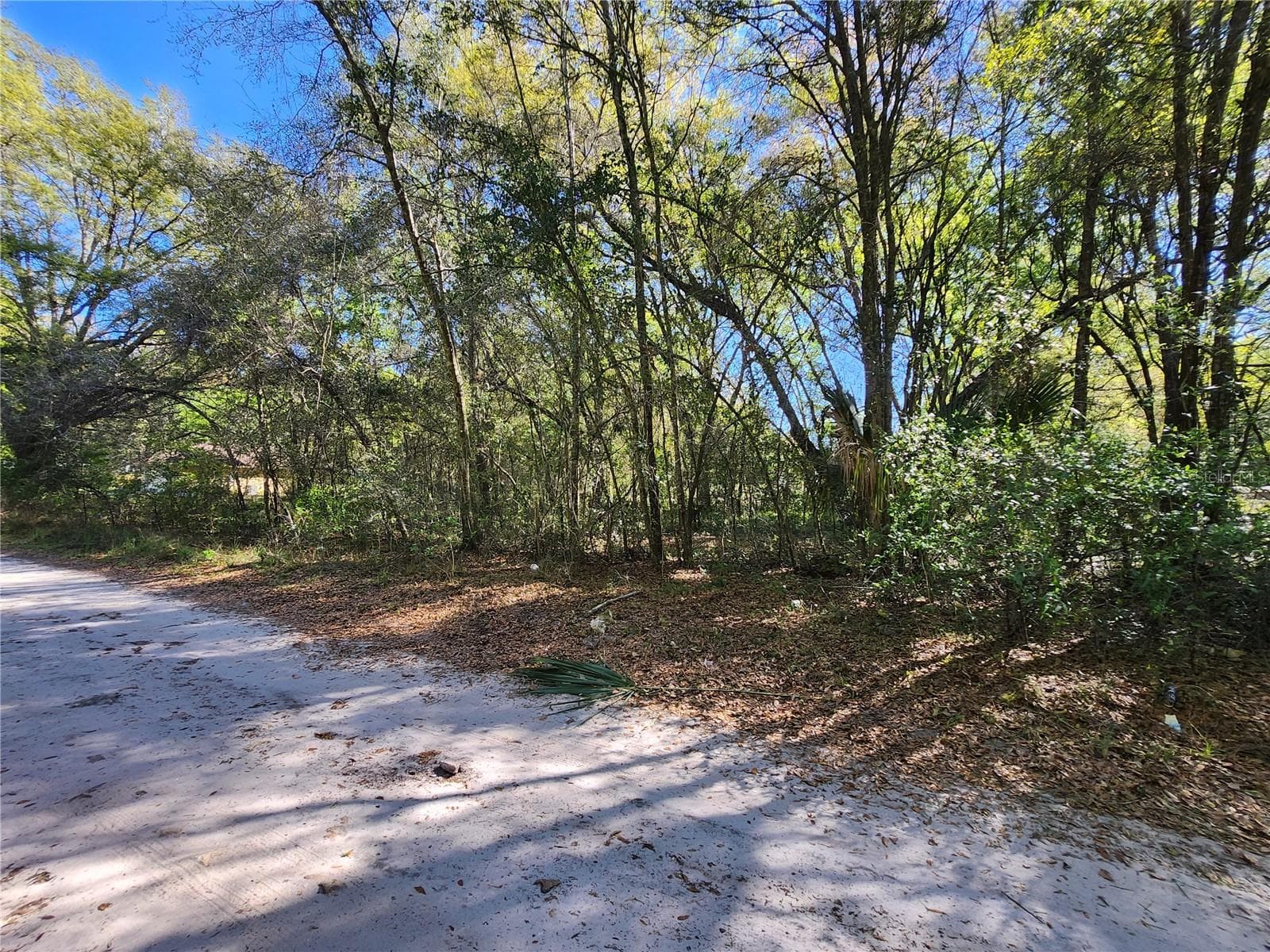 Land at TBD SE 36TH CT, SUMMERFIELD, photo 3 of 4