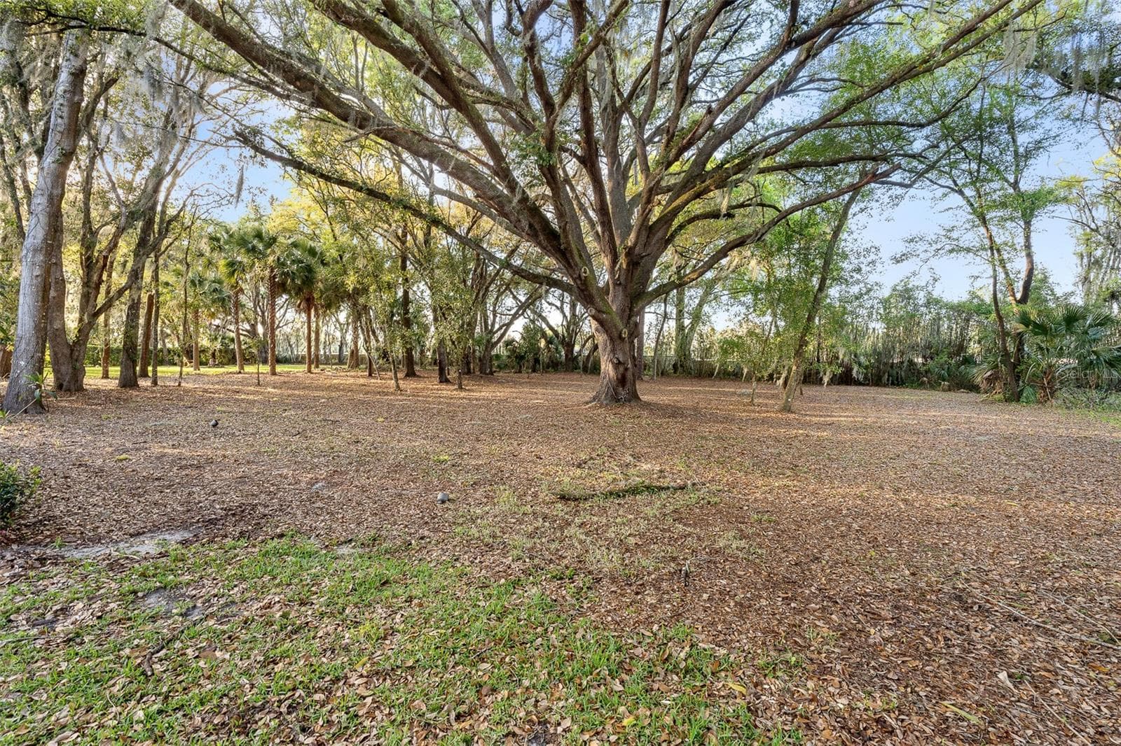 Huge 1-Acre Lot - 7341 BELLA FORESTA PL, SANFORD