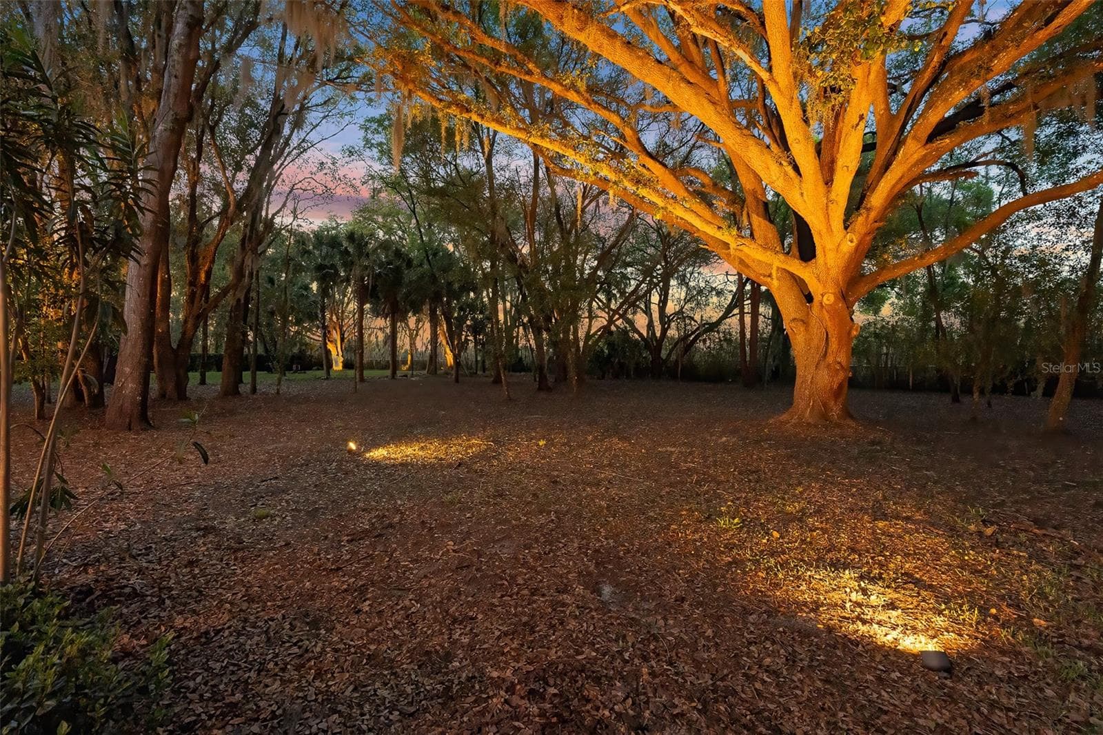 Twilight Backyard - 7341 BELLA FORESTA PL, SANFORD