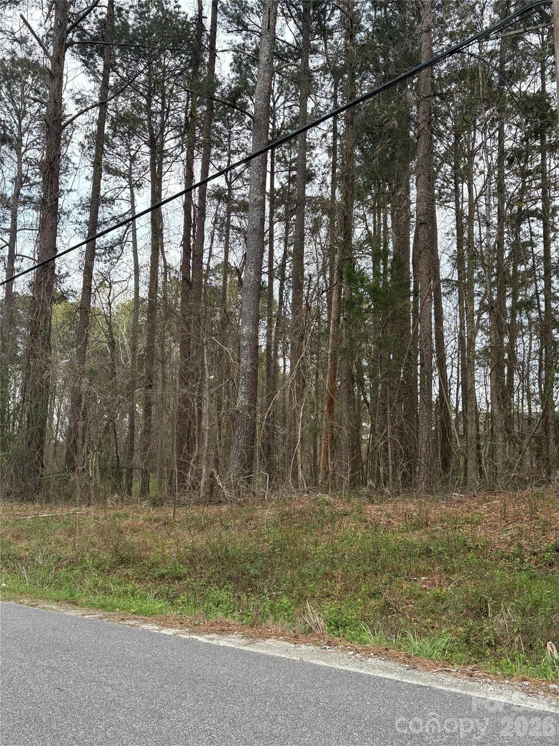 Lot at #0 Old Lilesville Road, Wadesboro, photo 2 of 4