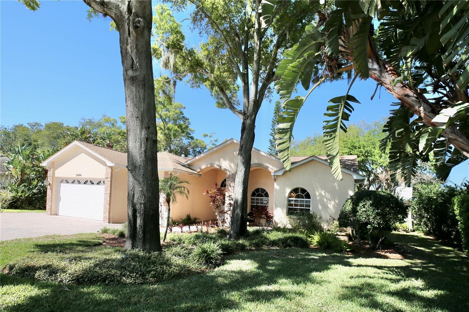 Amazing trees, bushes and plush lawn - 2686 CRYSTAL CIR, DUNEDIN