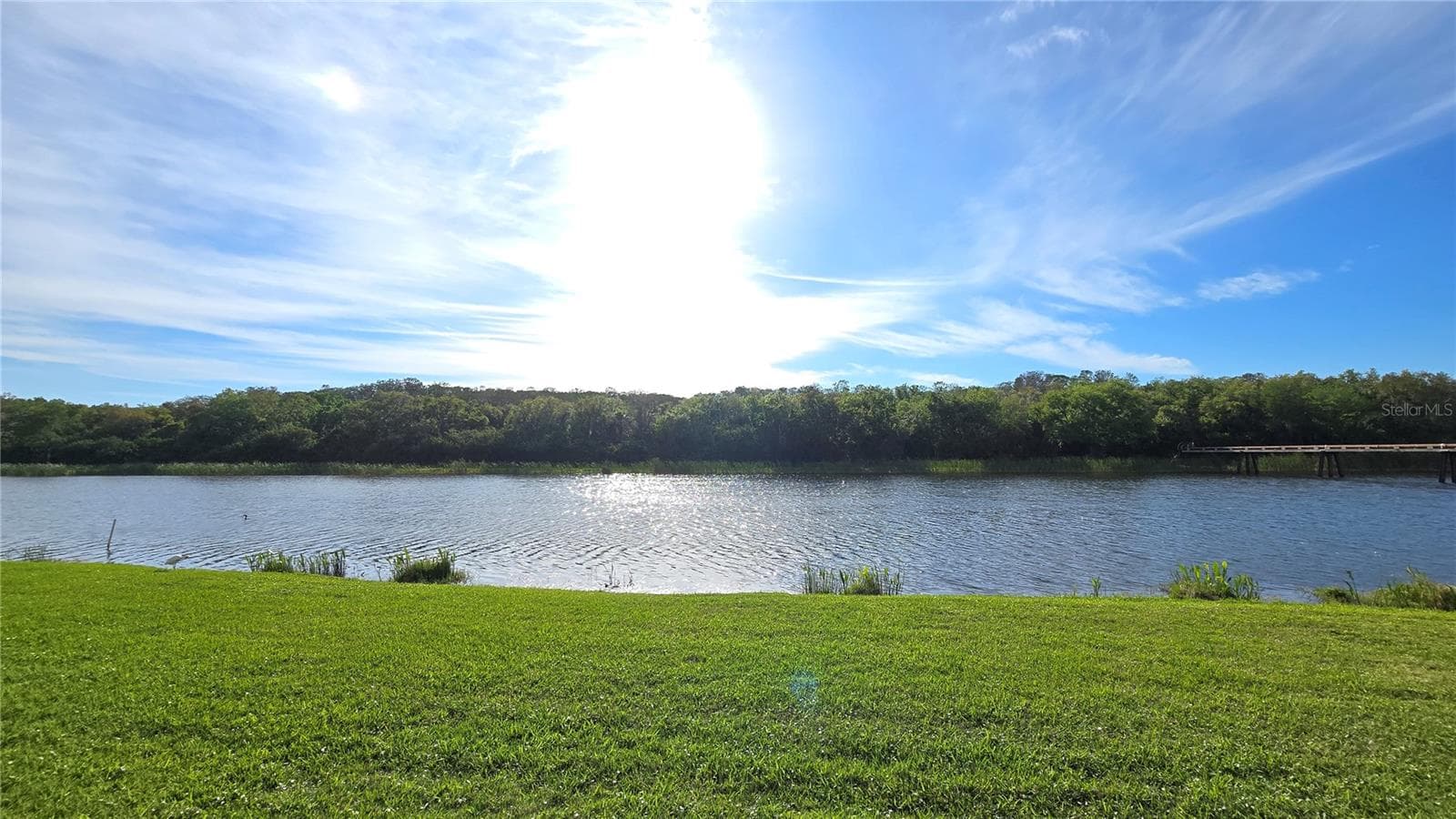 Townhouse at 1806 LAGO VISTA BLVD, PALM HARBOR, photo 28 of 31