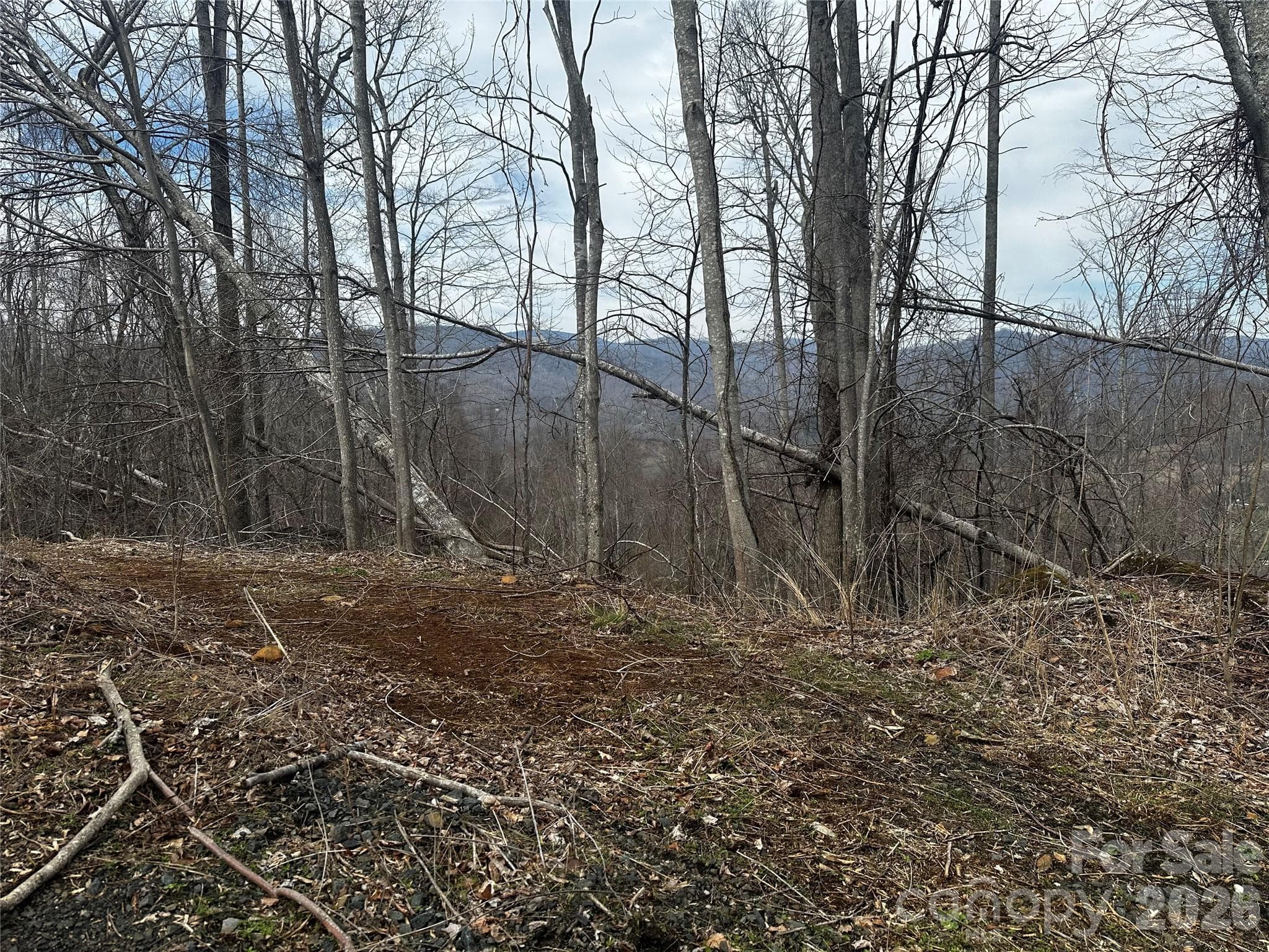 00 Bear Ridge Road
