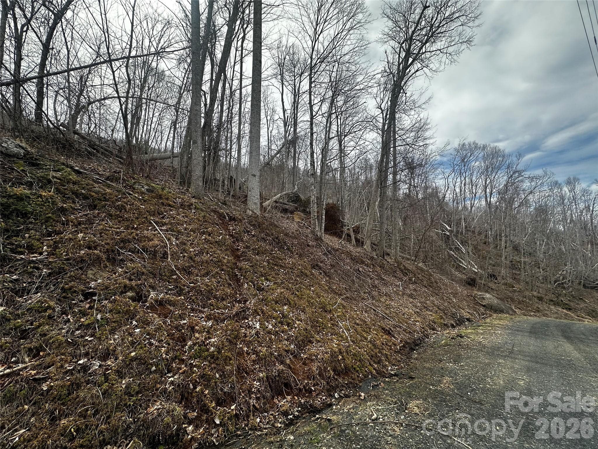 Lot at 00 Bear Ridge Road, Bakersville, photo 2 of 19