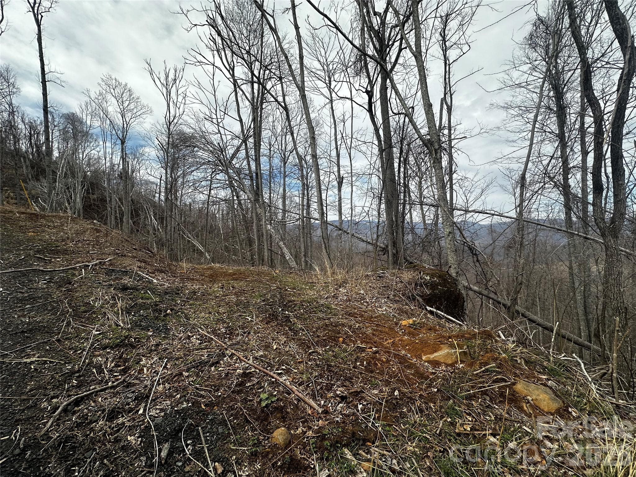Lot at 00 Bear Ridge Road, Bakersville, photo 3 of 19
