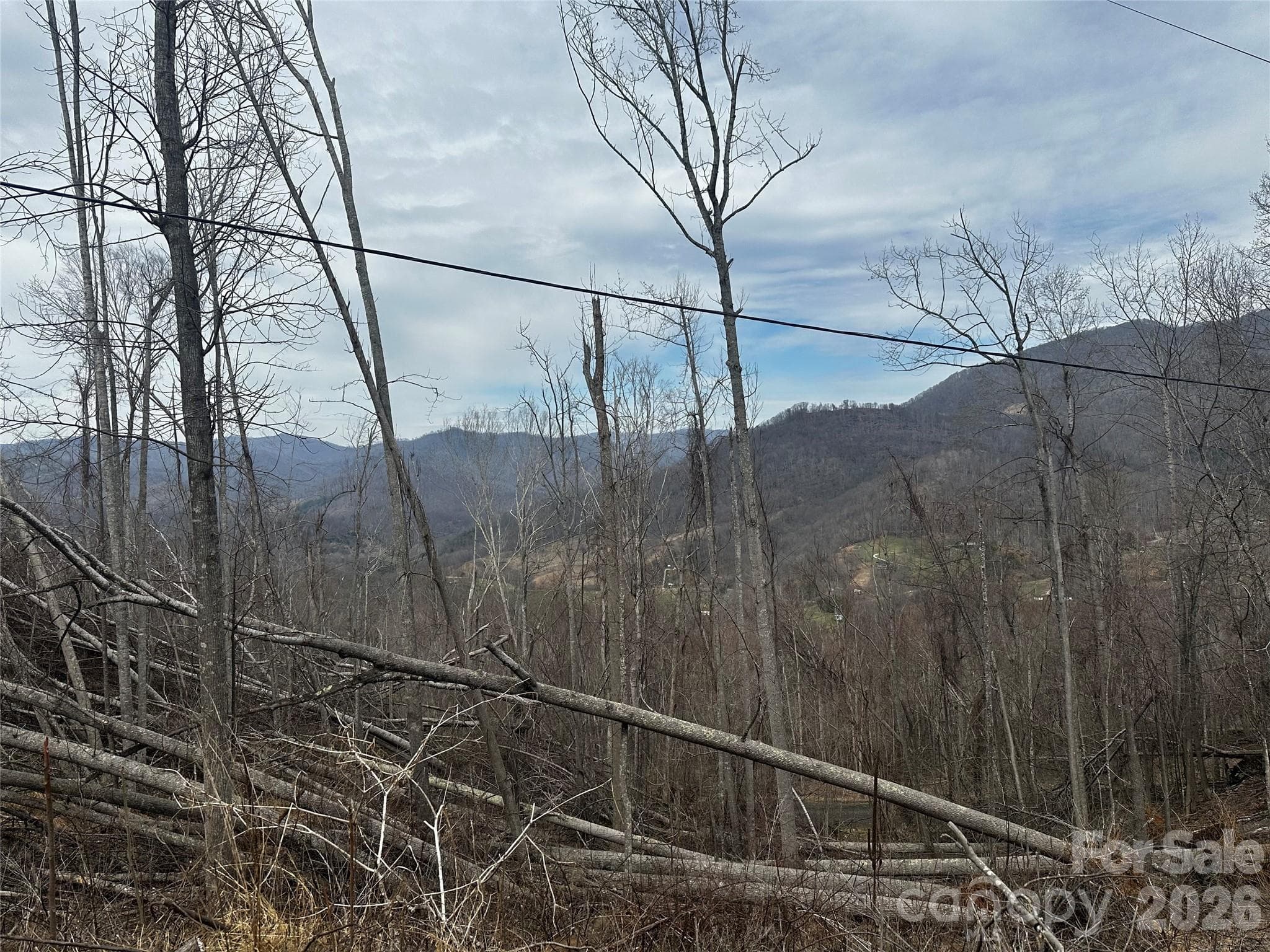 Lot at 00 Bear Ridge Road, Bakersville, photo 4 of 19