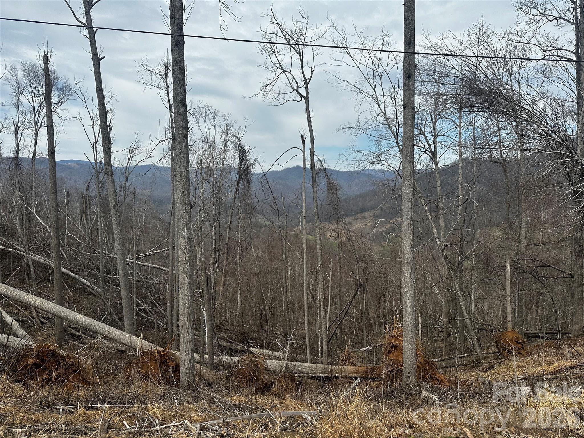 Lot at 00 Bear Ridge Road, Bakersville, photo 5 of 19