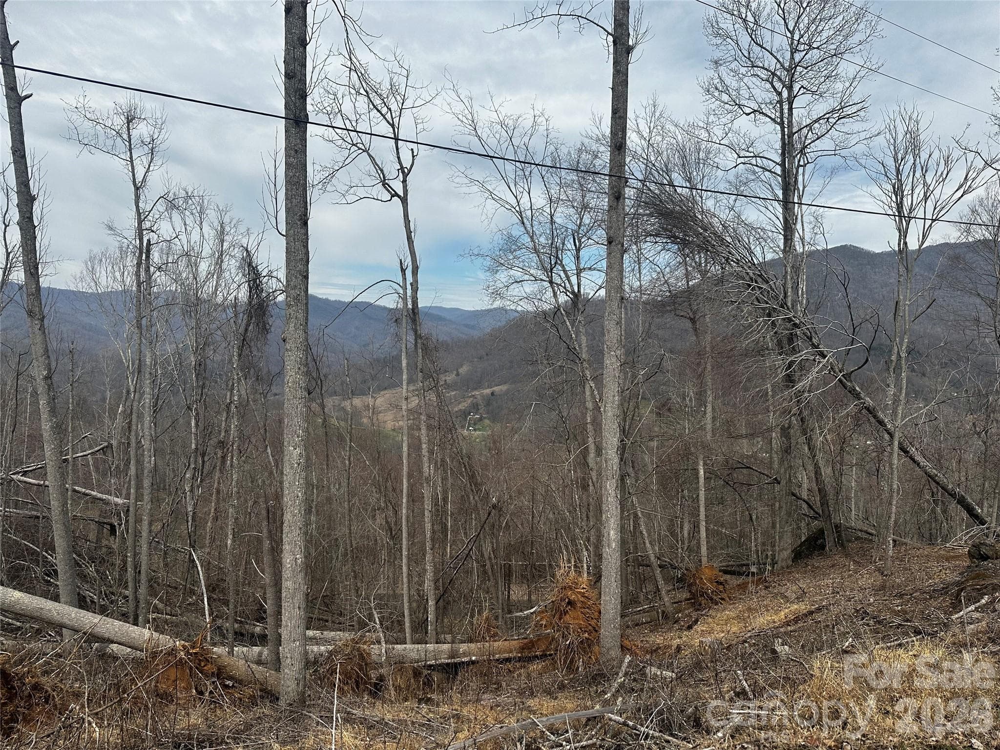 Lot at 00 Bear Ridge Road, Bakersville, photo 6 of 19