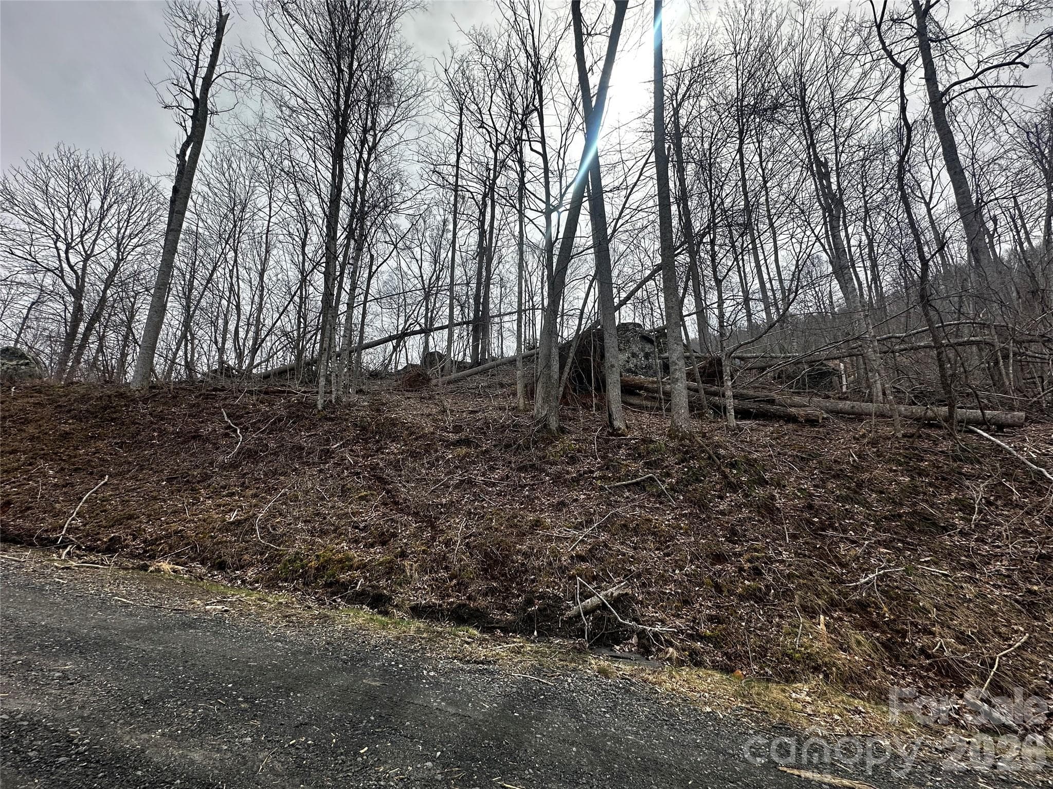 Lot at 00 Bear Ridge Road, Bakersville, photo 7 of 19