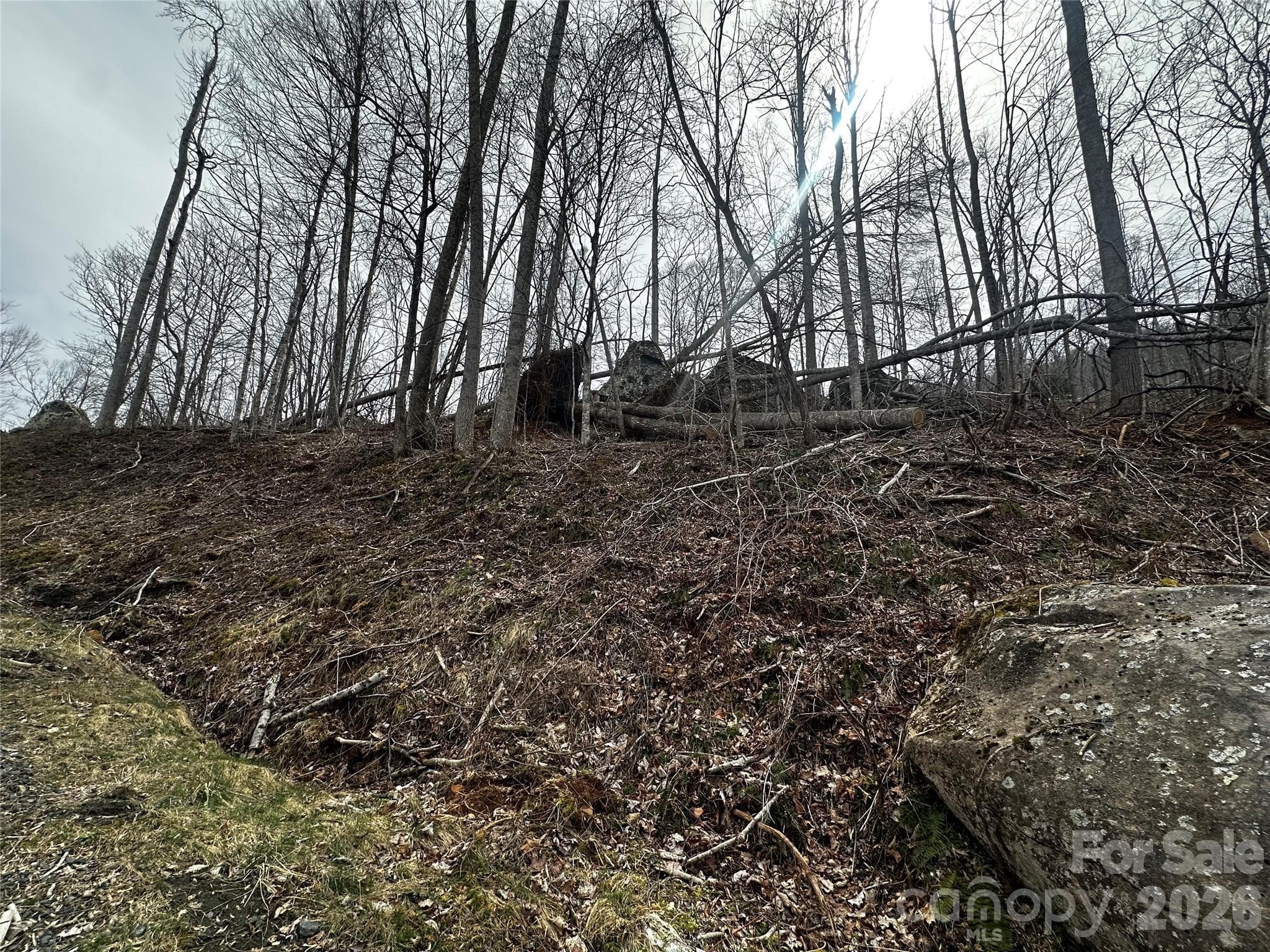 Lot at 00 Bear Ridge Road, Bakersville, photo 10 of 19