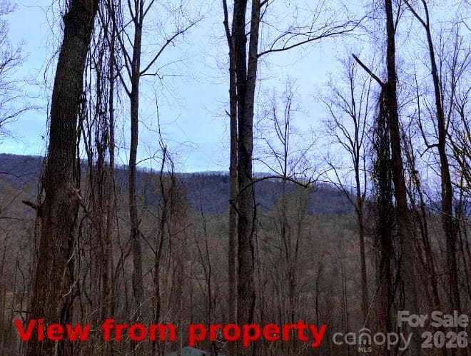Lot at 89 Weeping Cherry Forest Road, Fairview, photo 2 of 9